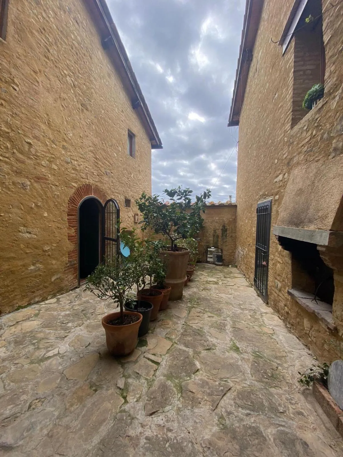 Garden in Campora House