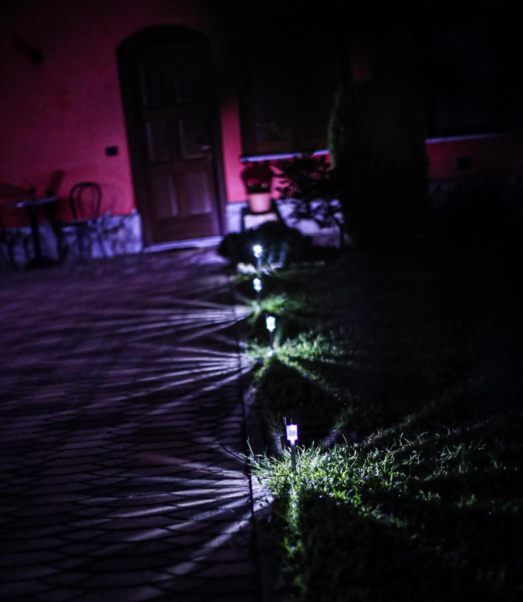 Garden in Binario 9 3/4