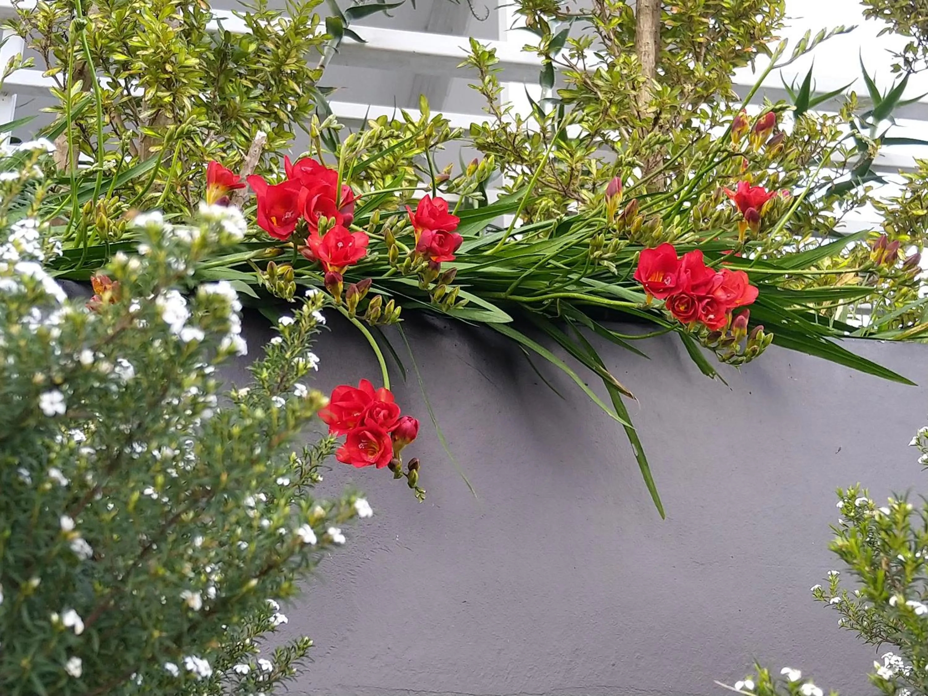 Bird's eye view in C'est La Vie Bed & Breakfast