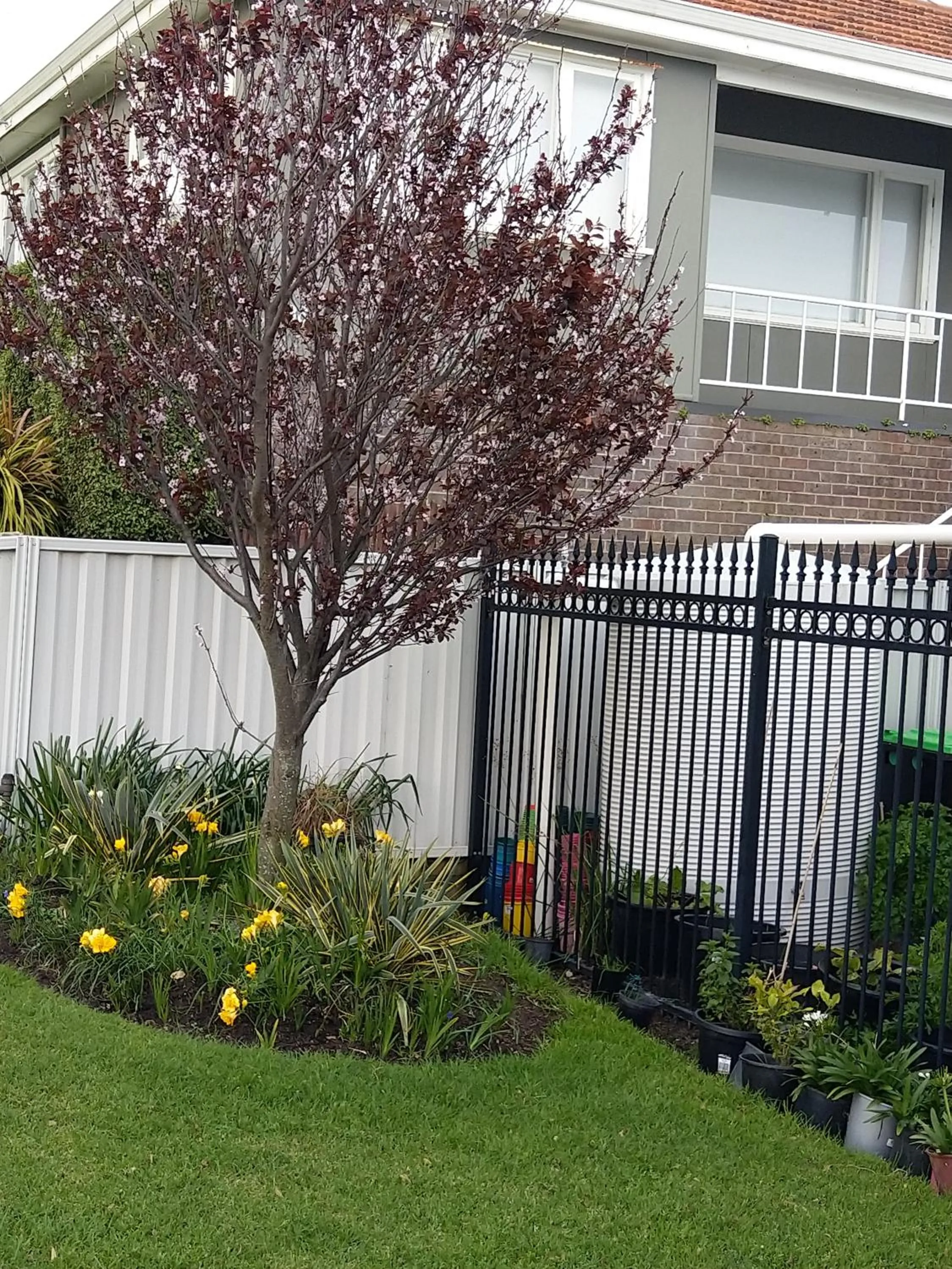 Property building in C'est La Vie Bed & Breakfast