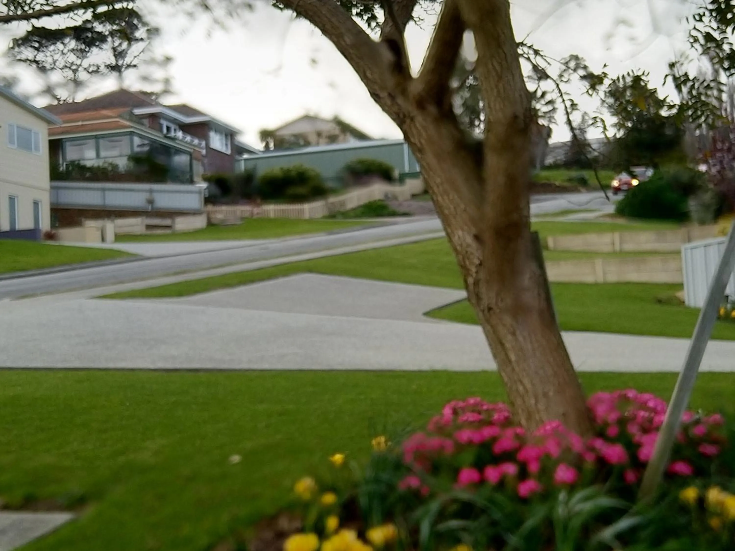 Bird's eye view in C'est La Vie Bed & Breakfast