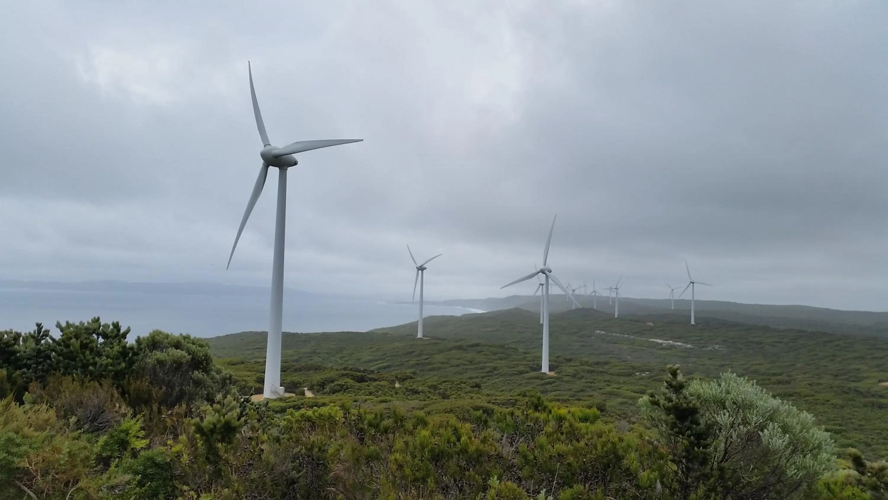 Natural landscape in C'est La Vie Bed & Breakfast