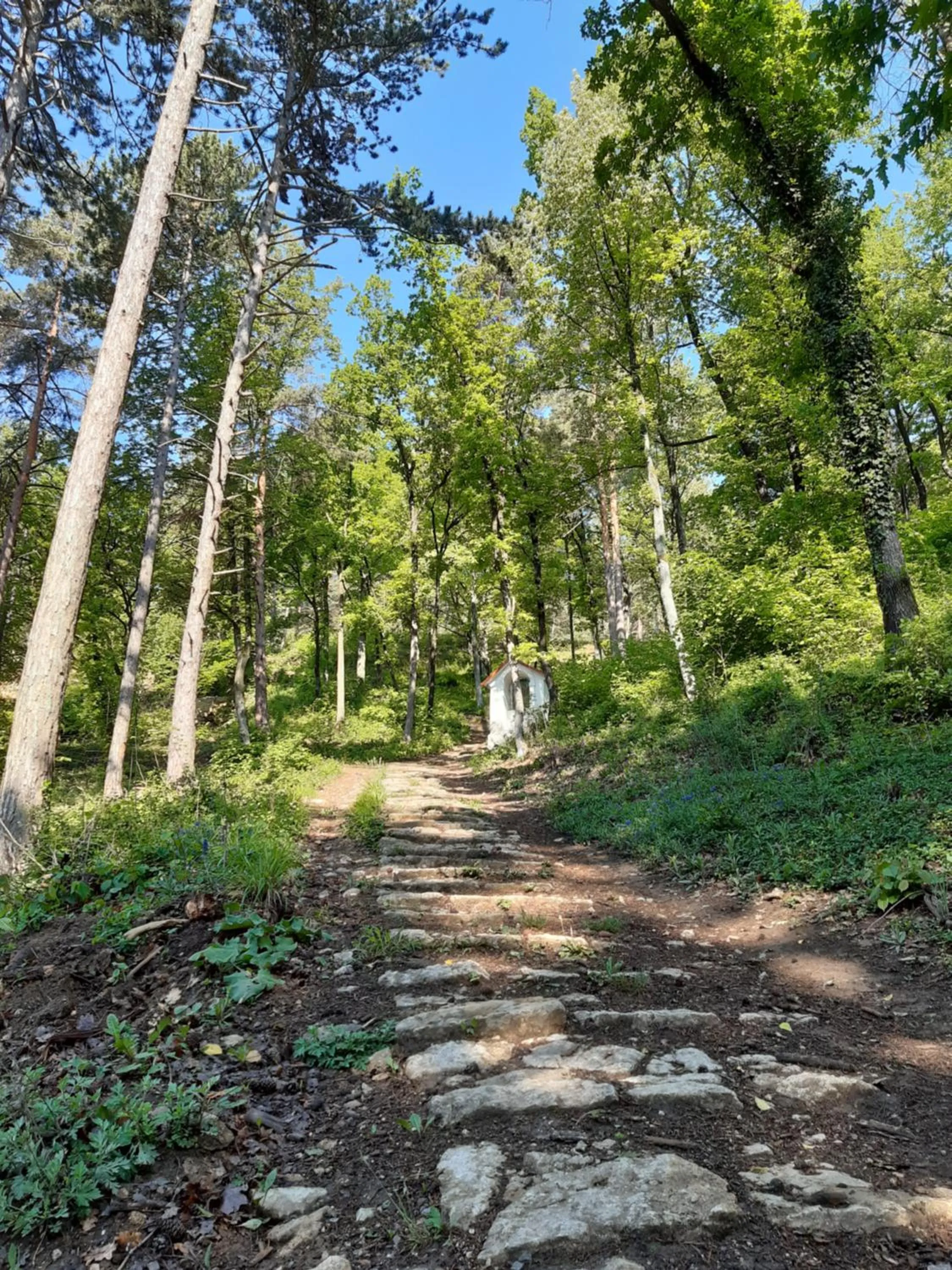 Hiking in VIGEO lounge b&b coffee