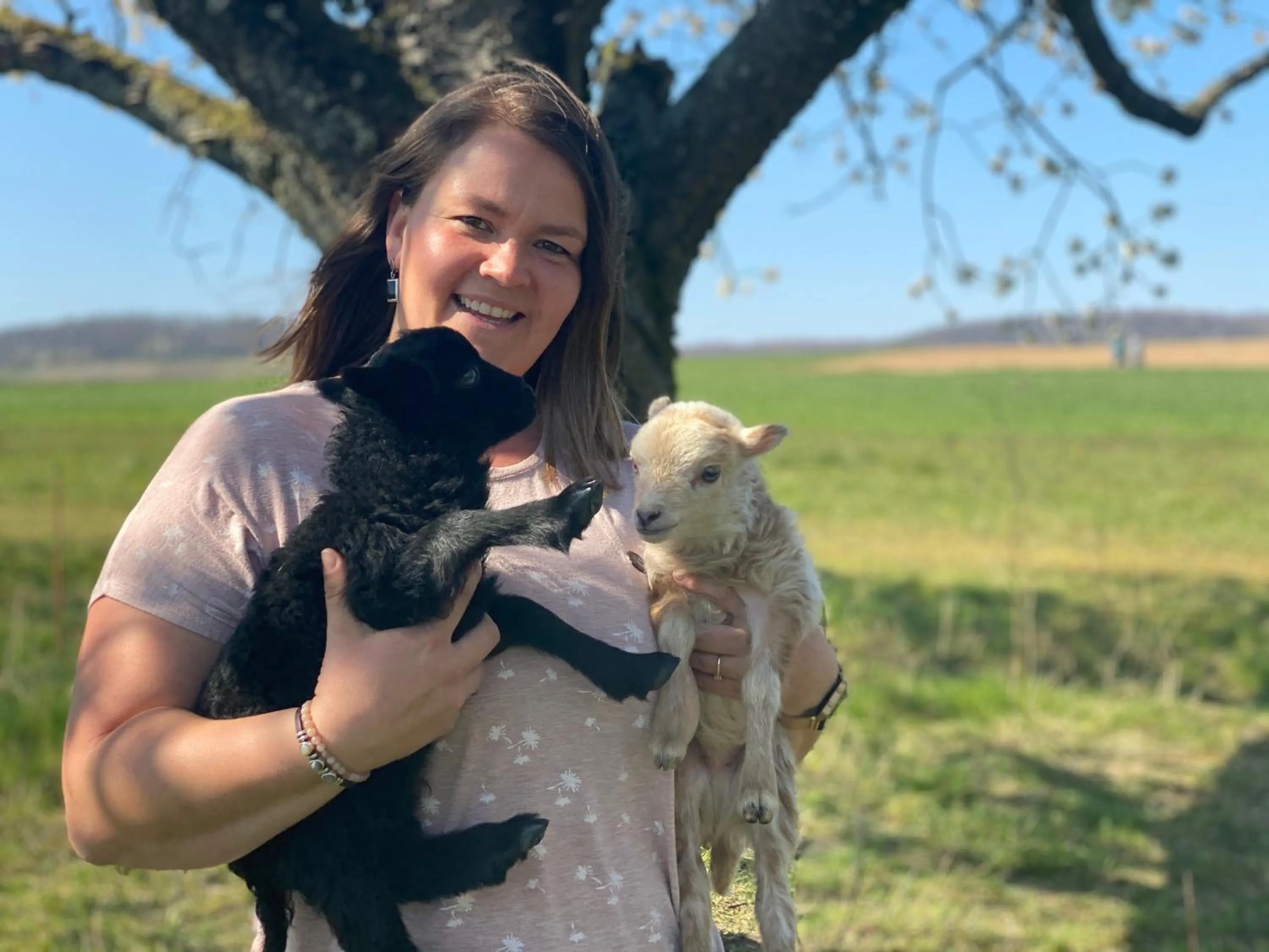 Lobby or reception in Sali Homes - GaesteHaus Lamm Obersulm