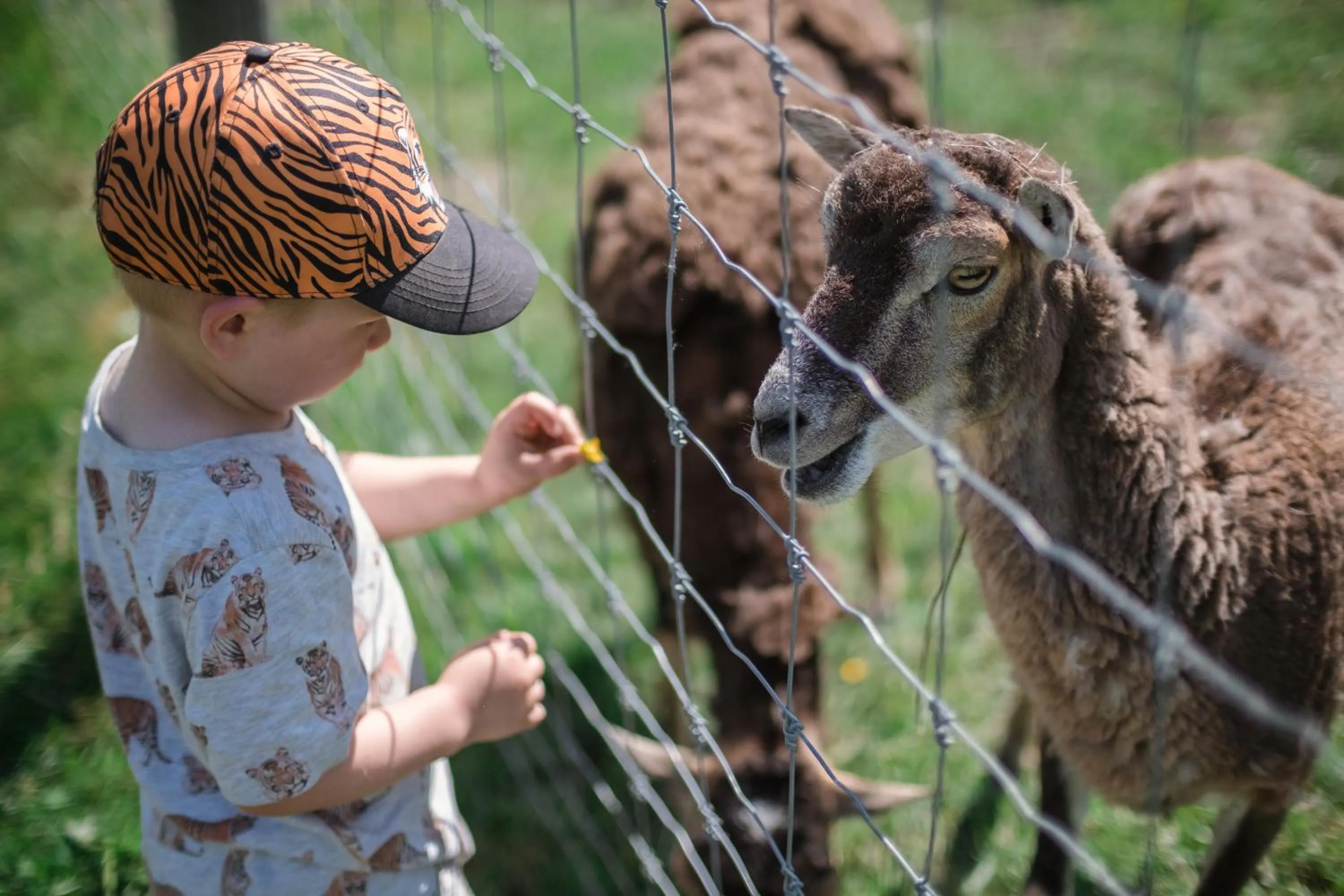 Other in Öster Malma vandrarhem