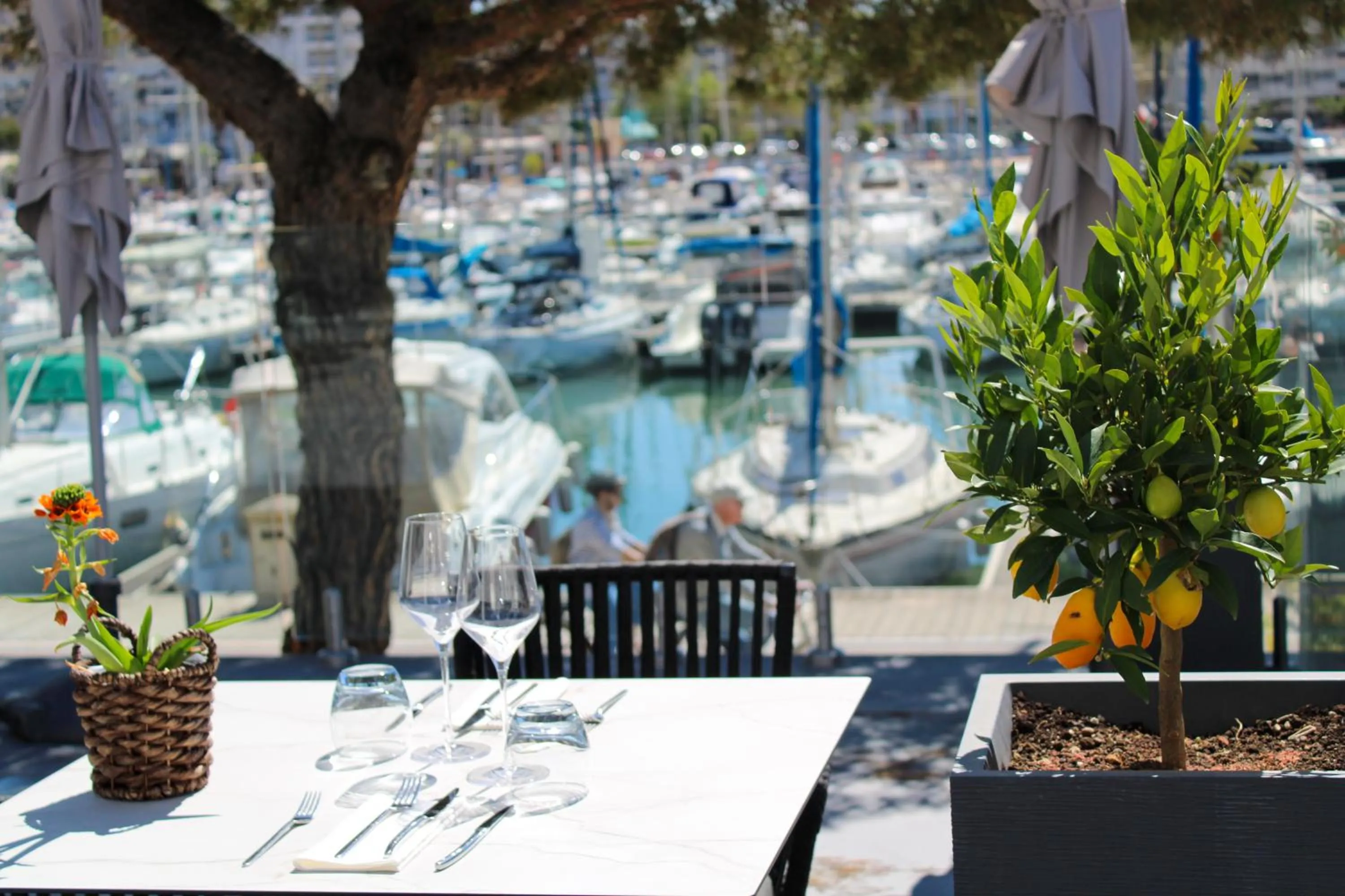 Patio in The Originals Boutique, Hôtel Neptune, Montpellier Sud