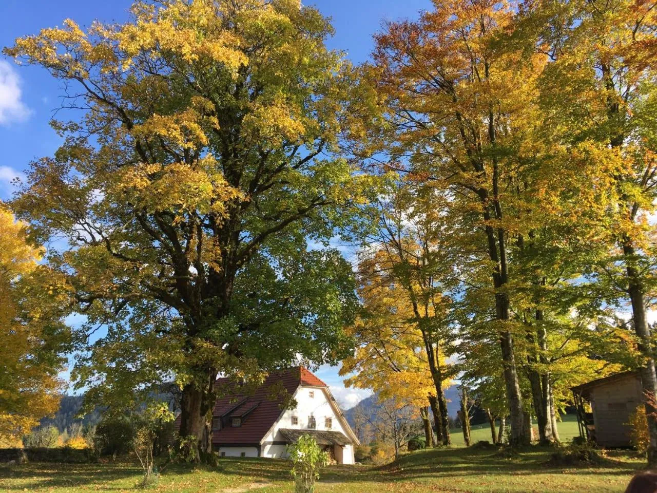 Neighbourhood in Chalet Hinterbreiteneben