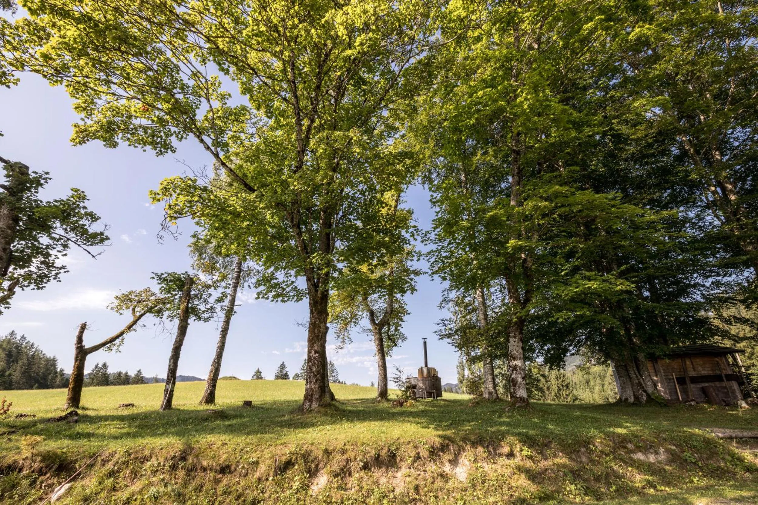 Garden in Chalet Hinterbreiteneben