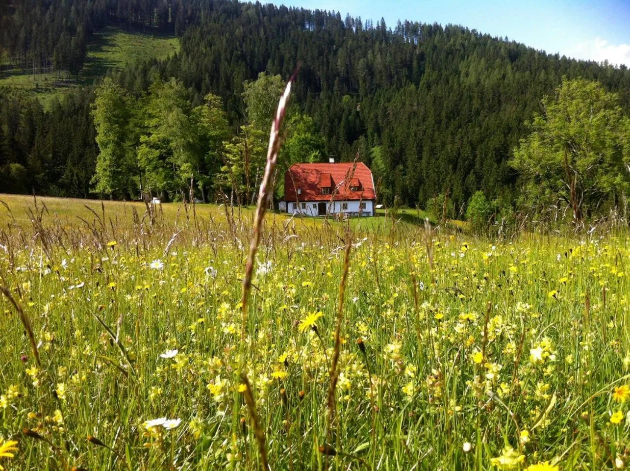 Natural landscape in Chalet Hinterbreiteneben