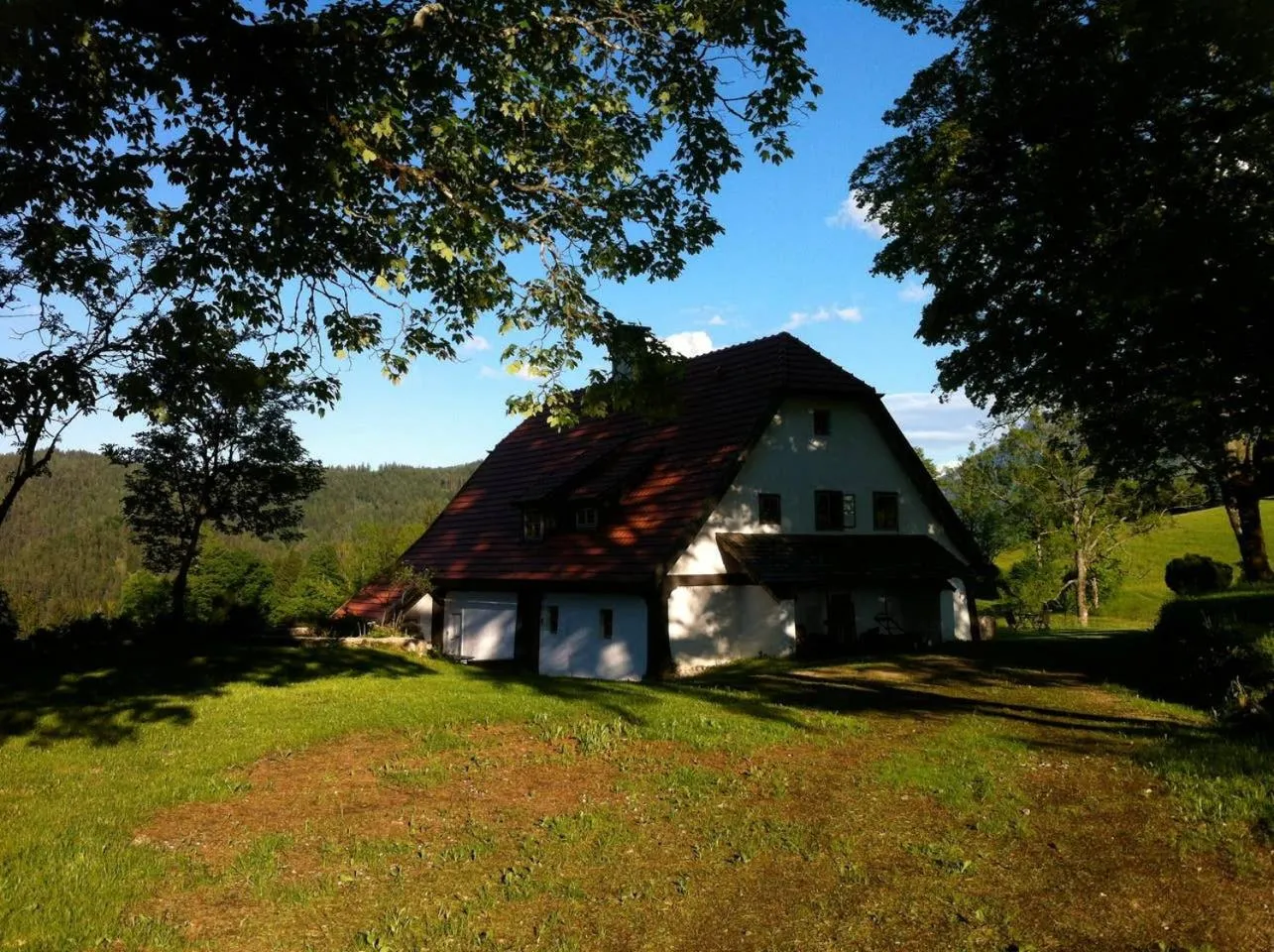 Property building in Chalet Hinterbreiteneben