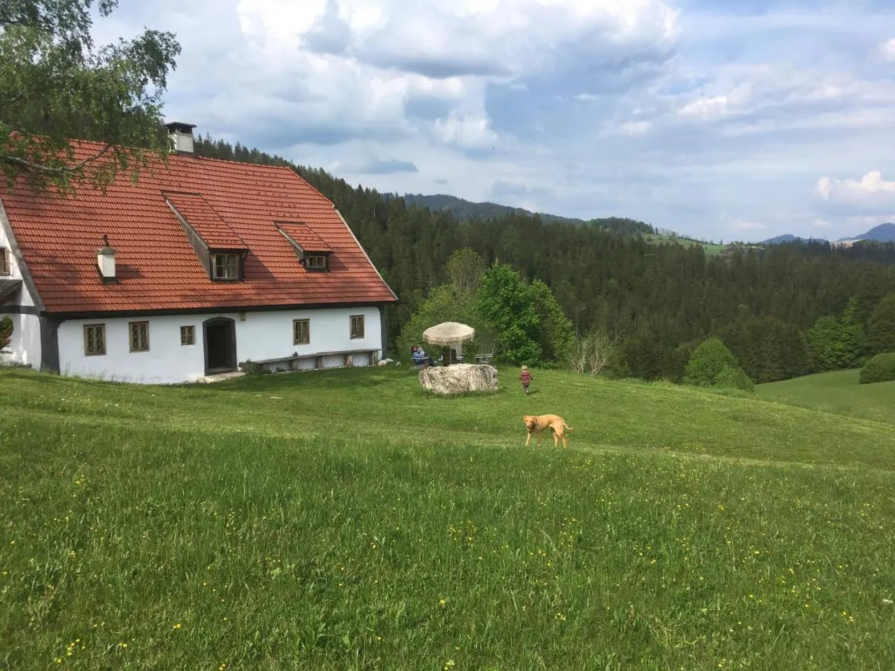 Property building in Chalet Hinterbreiteneben
