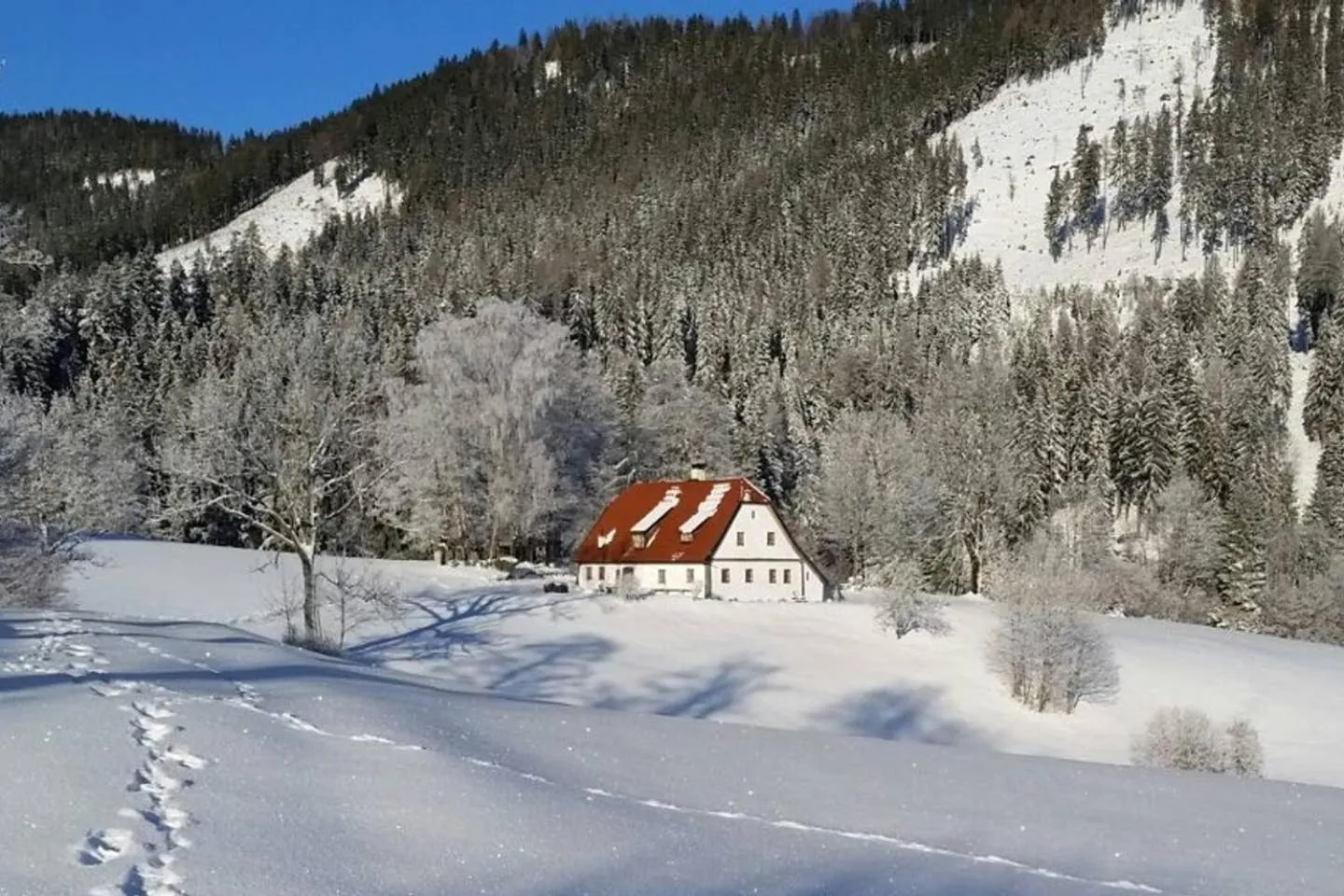 Property building in Chalet Hinterbreiteneben