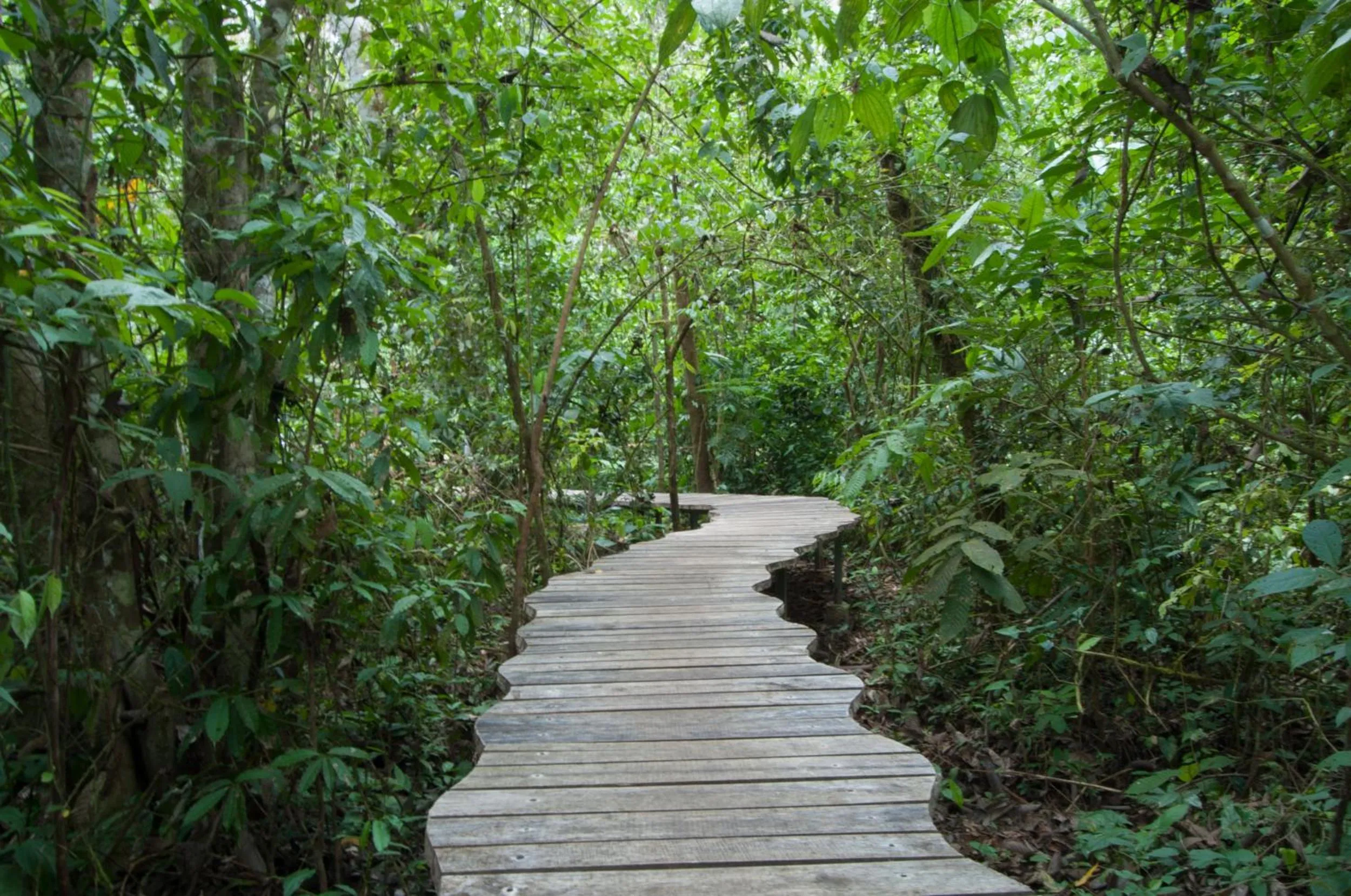 Area and facilities in Danta Corcovado Lodge