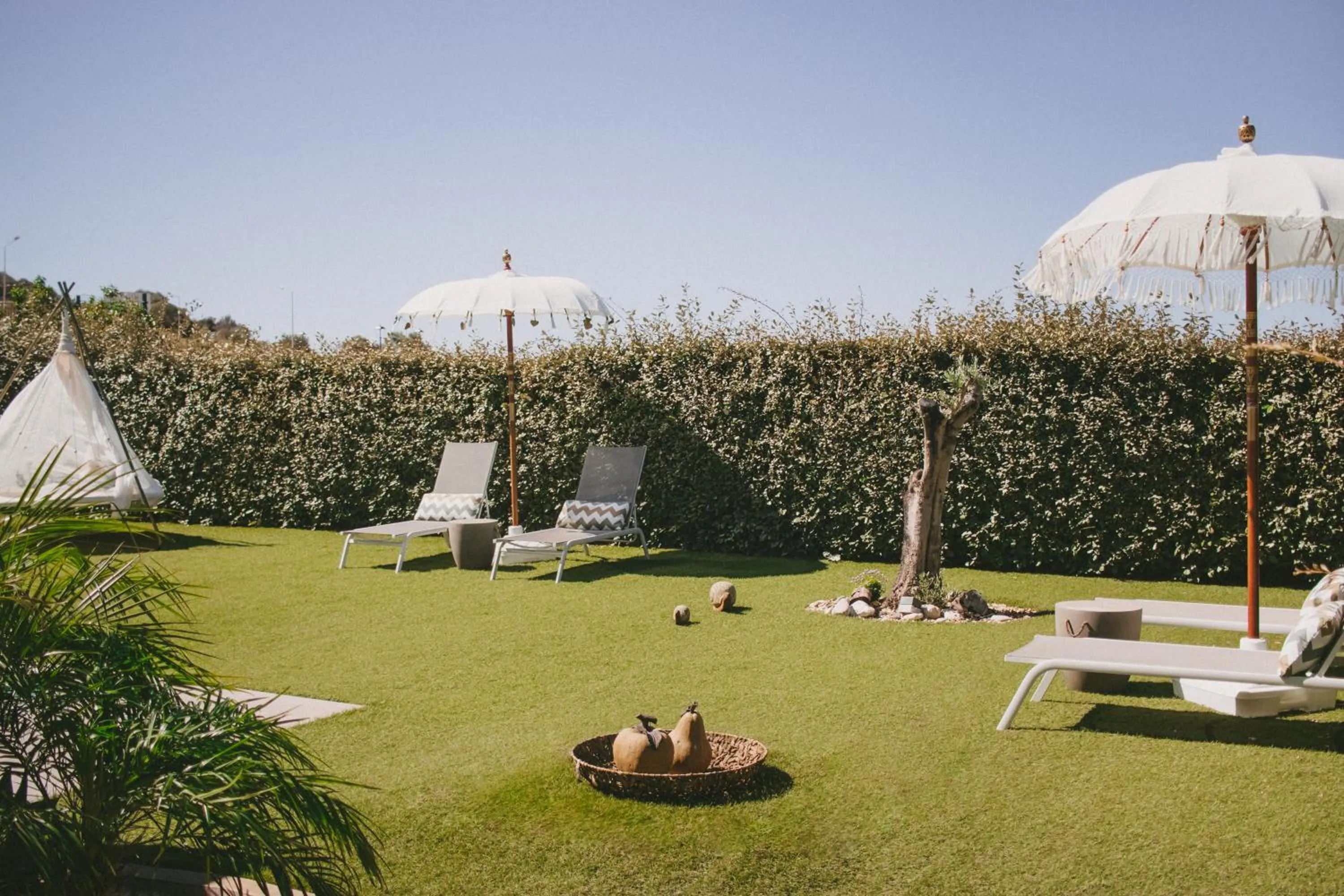 Garden in Casa LNNoa Boutique Room whit private pool