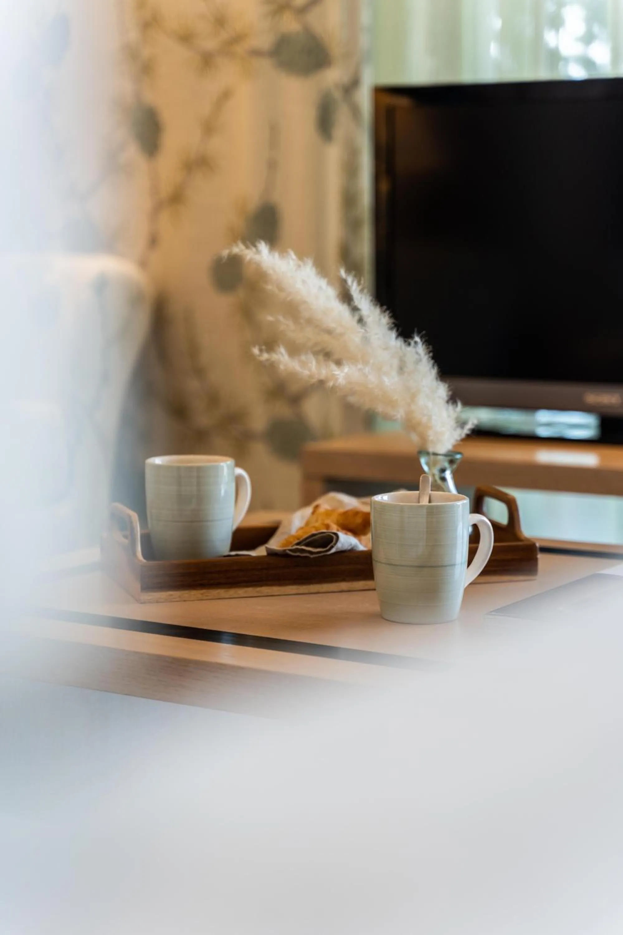 TV and multimedia in Princess Kyniska Suites