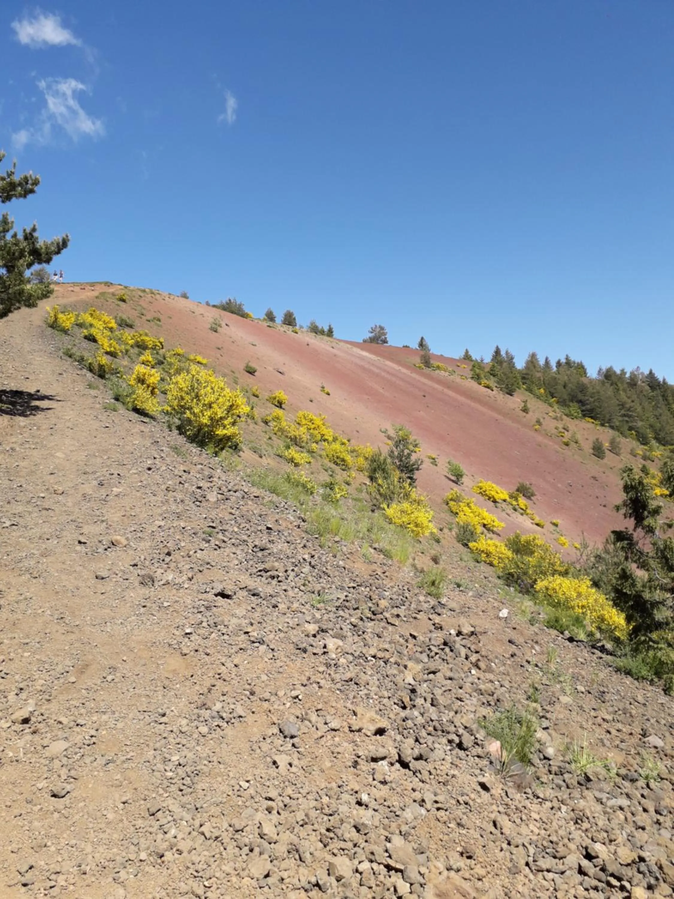 Natural landscape in The Originals Access, Hôtel Clermont-Ferrand Nord