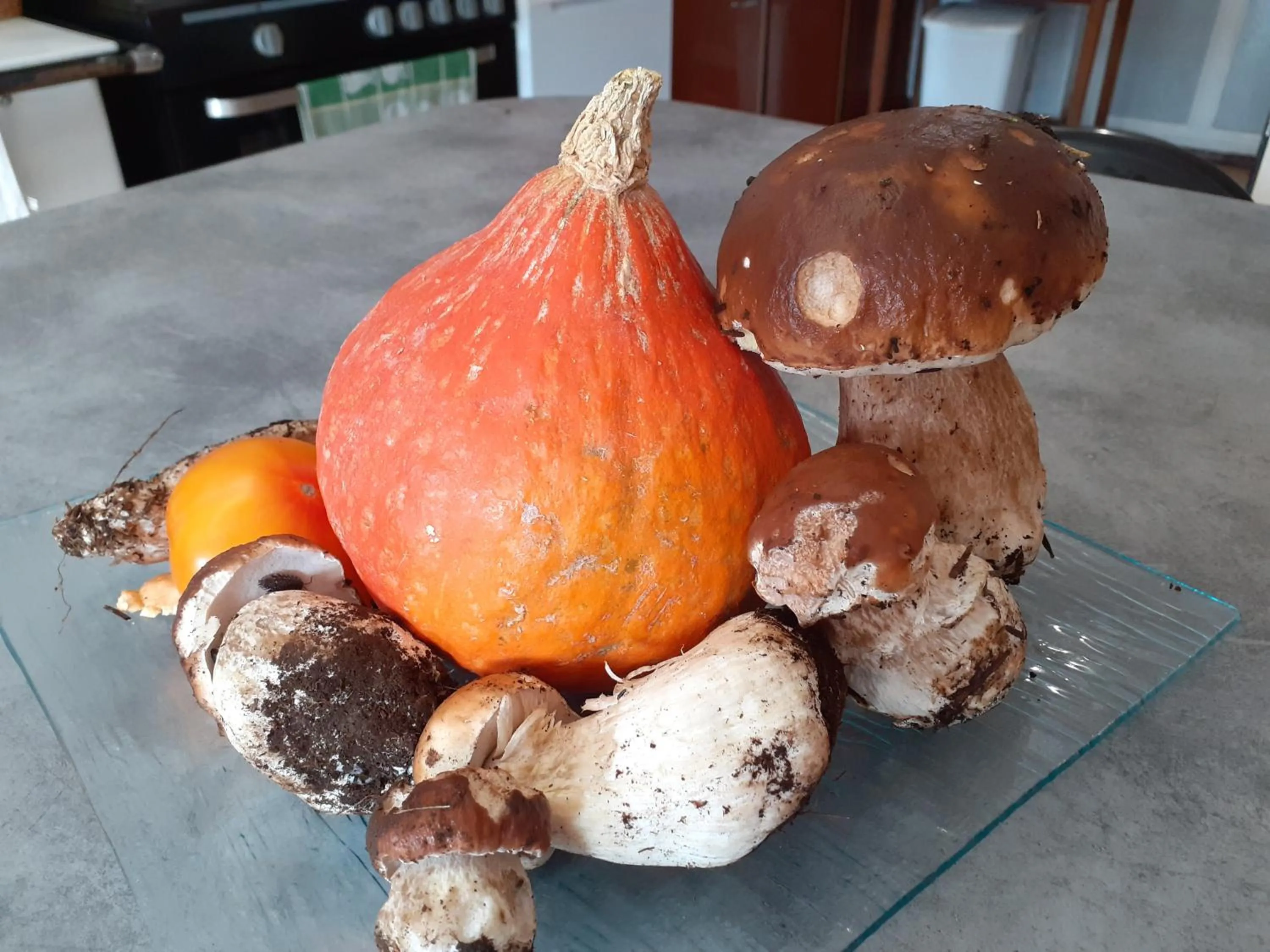 Autumn in The Originals Access, Hôtel Clermont-Ferrand Nord