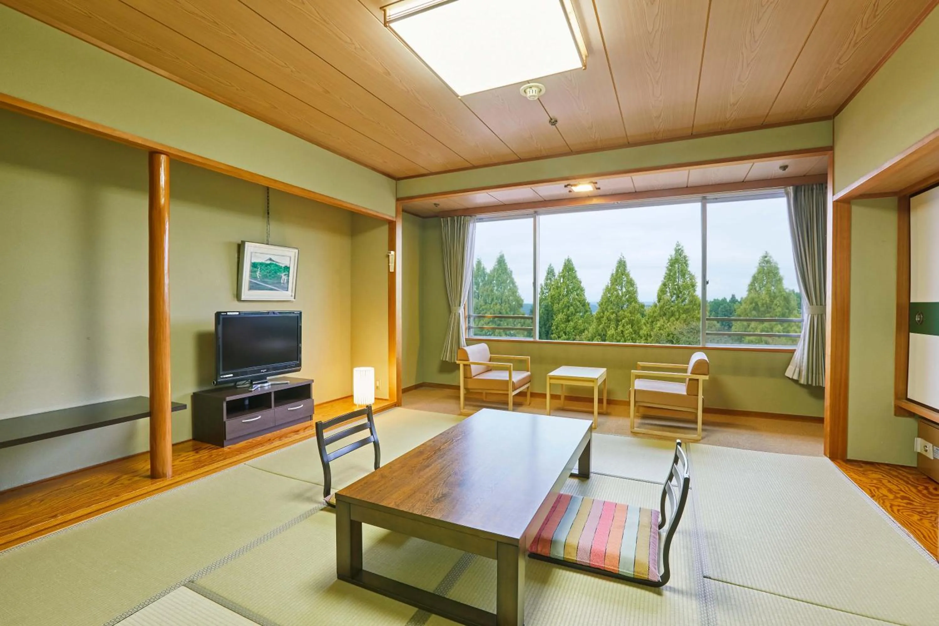 Photo of the whole room in KAMENOI HOTEL Kitsuregawa