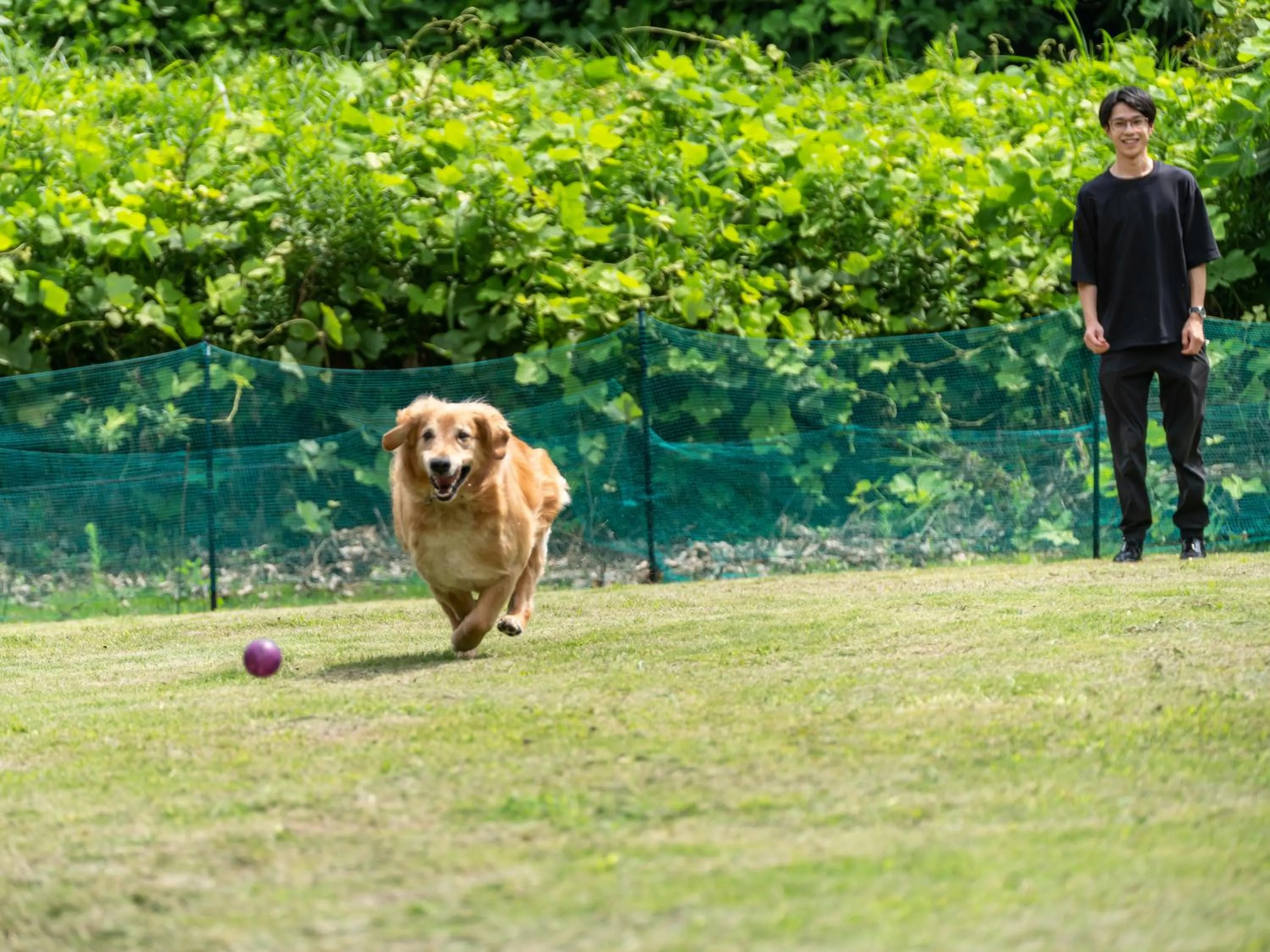 Animals in KAMENOI HOTEL Kitsuregawa