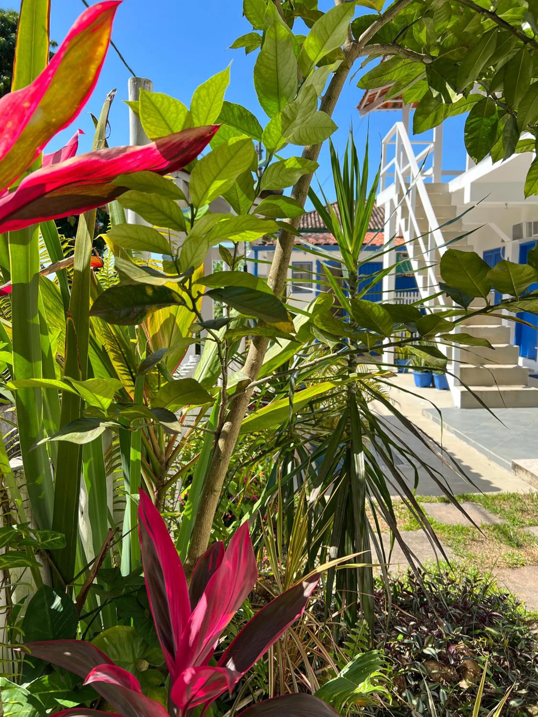 Garden in Pousada Costa Verde