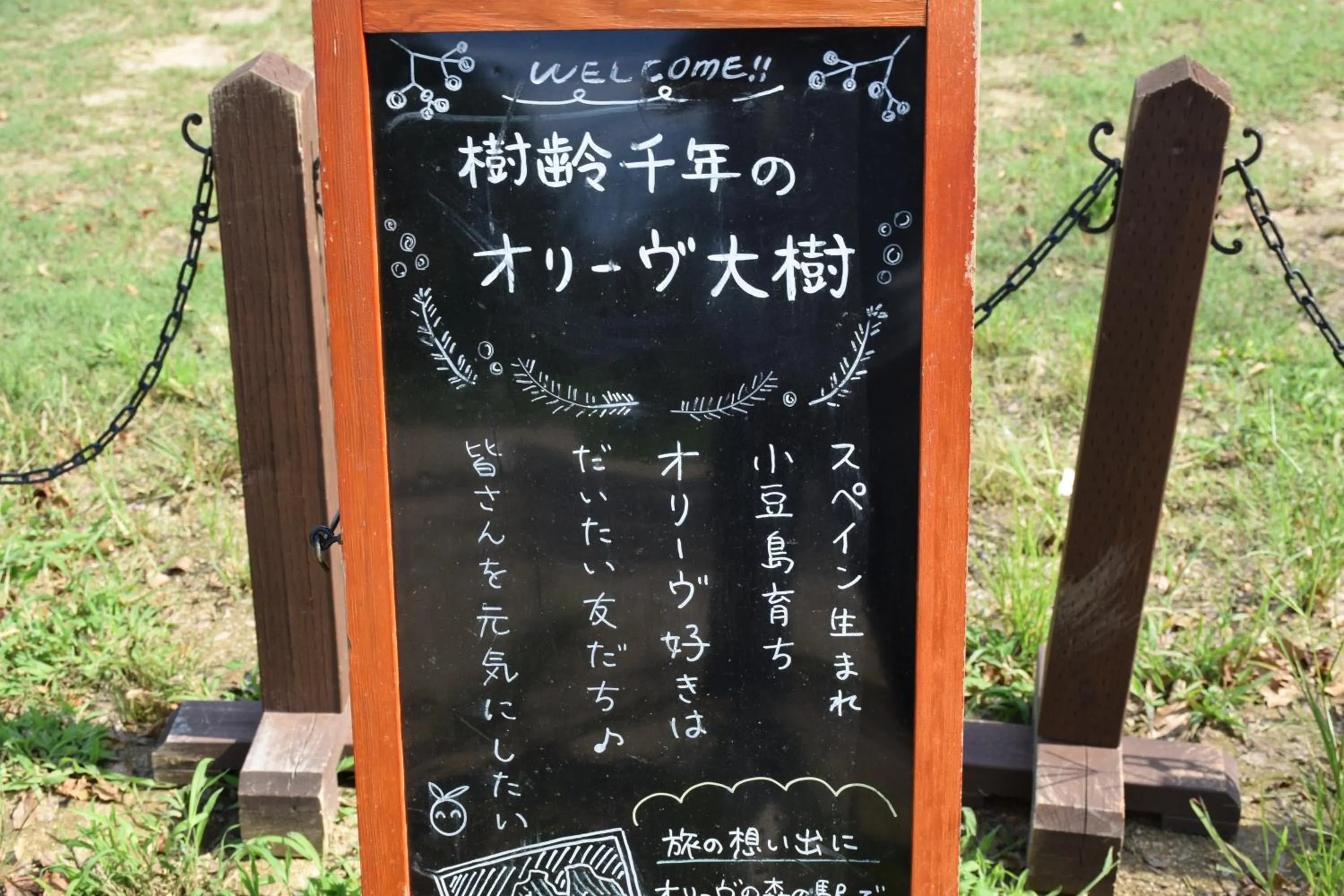 Logo/Certificate/Sign in Taiyou no Ouchi