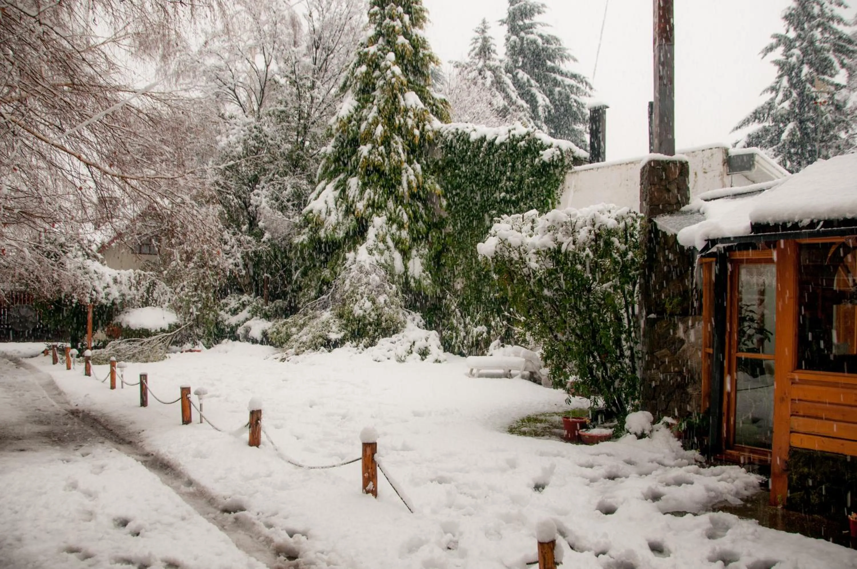 Garden in Hostería El Arbol Duende