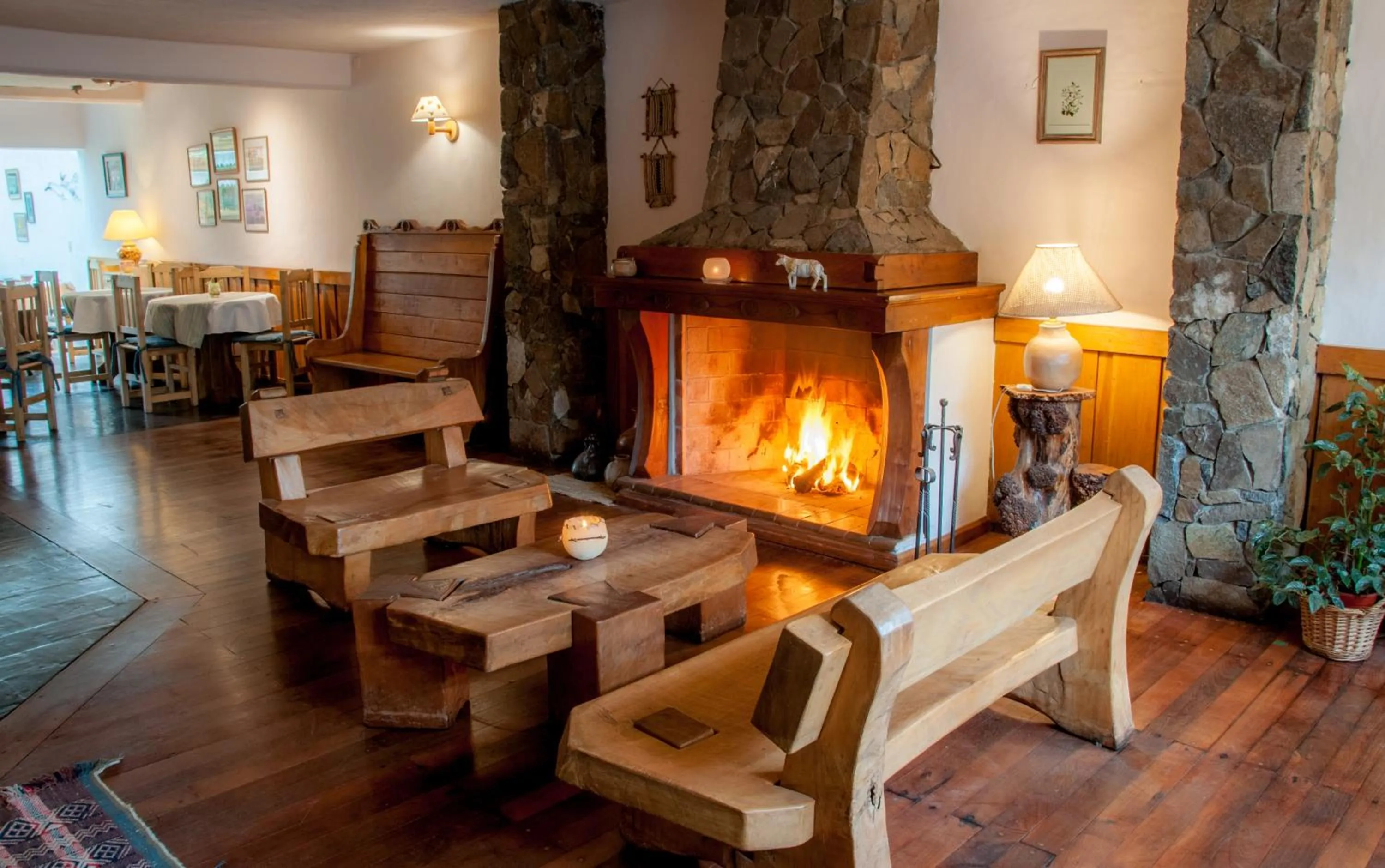 Lounge or bar in Hostería El Arbol Duende