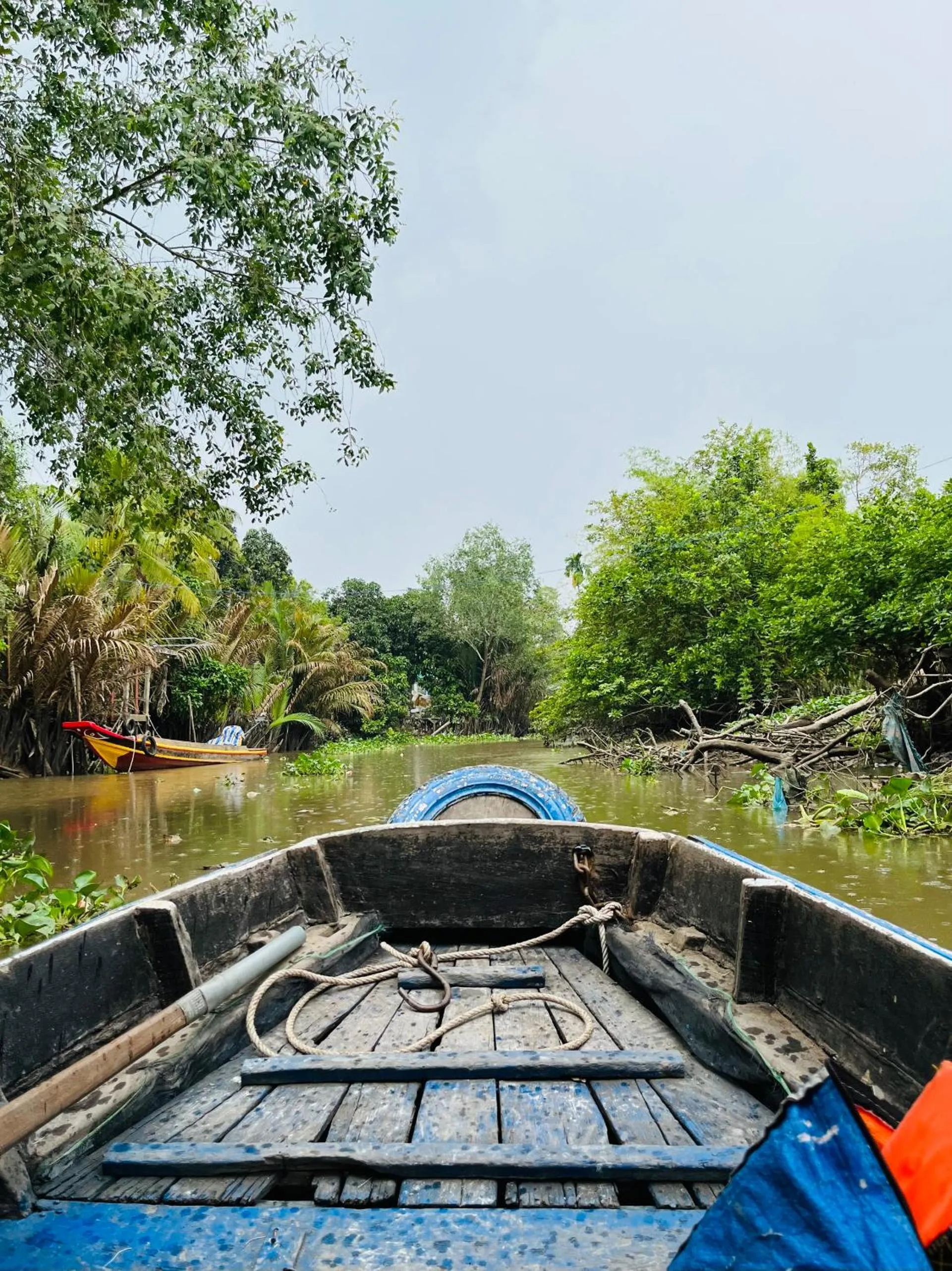 Neighbourhood in Cato Homestay