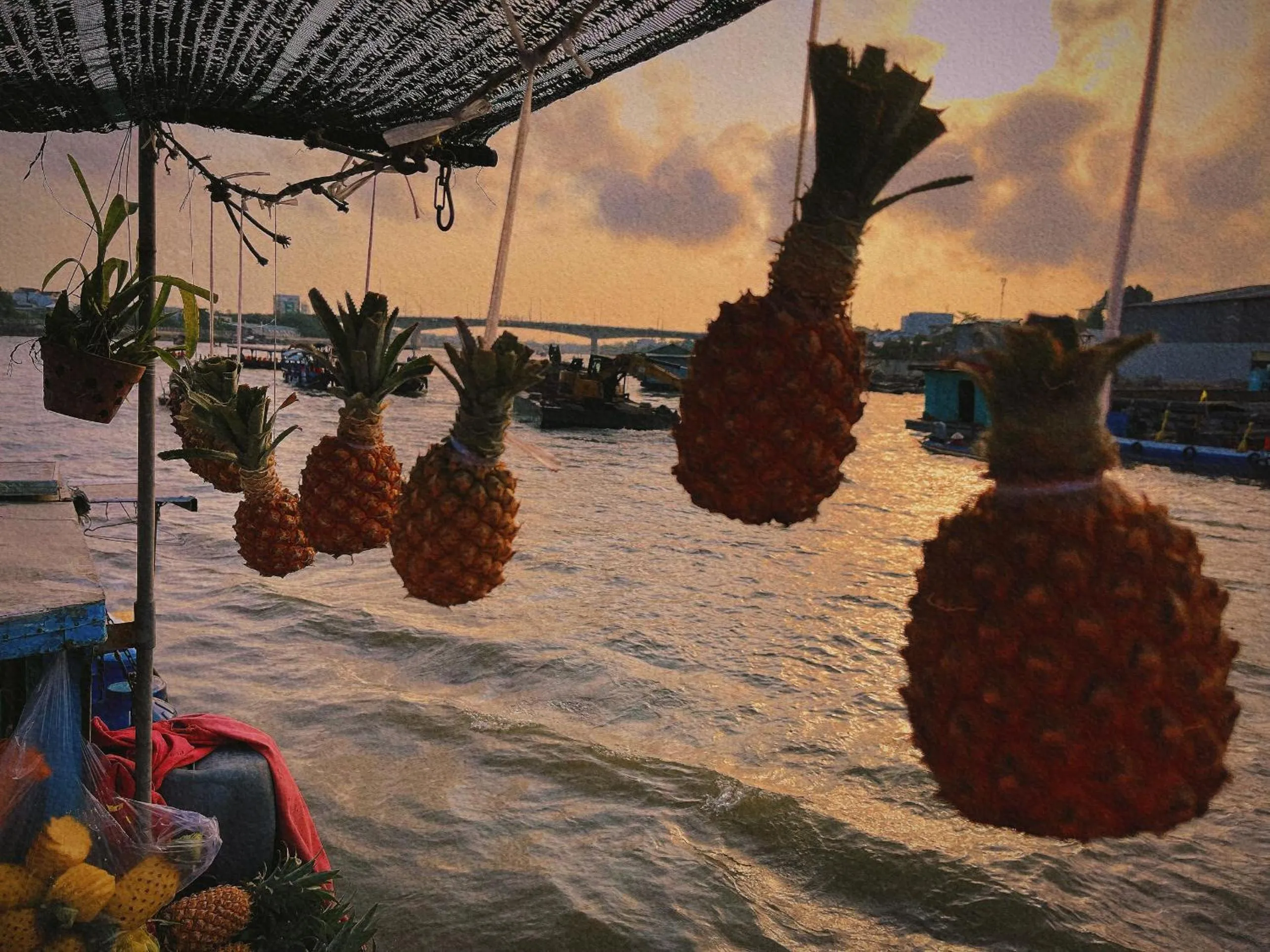 Day in Cato Homestay