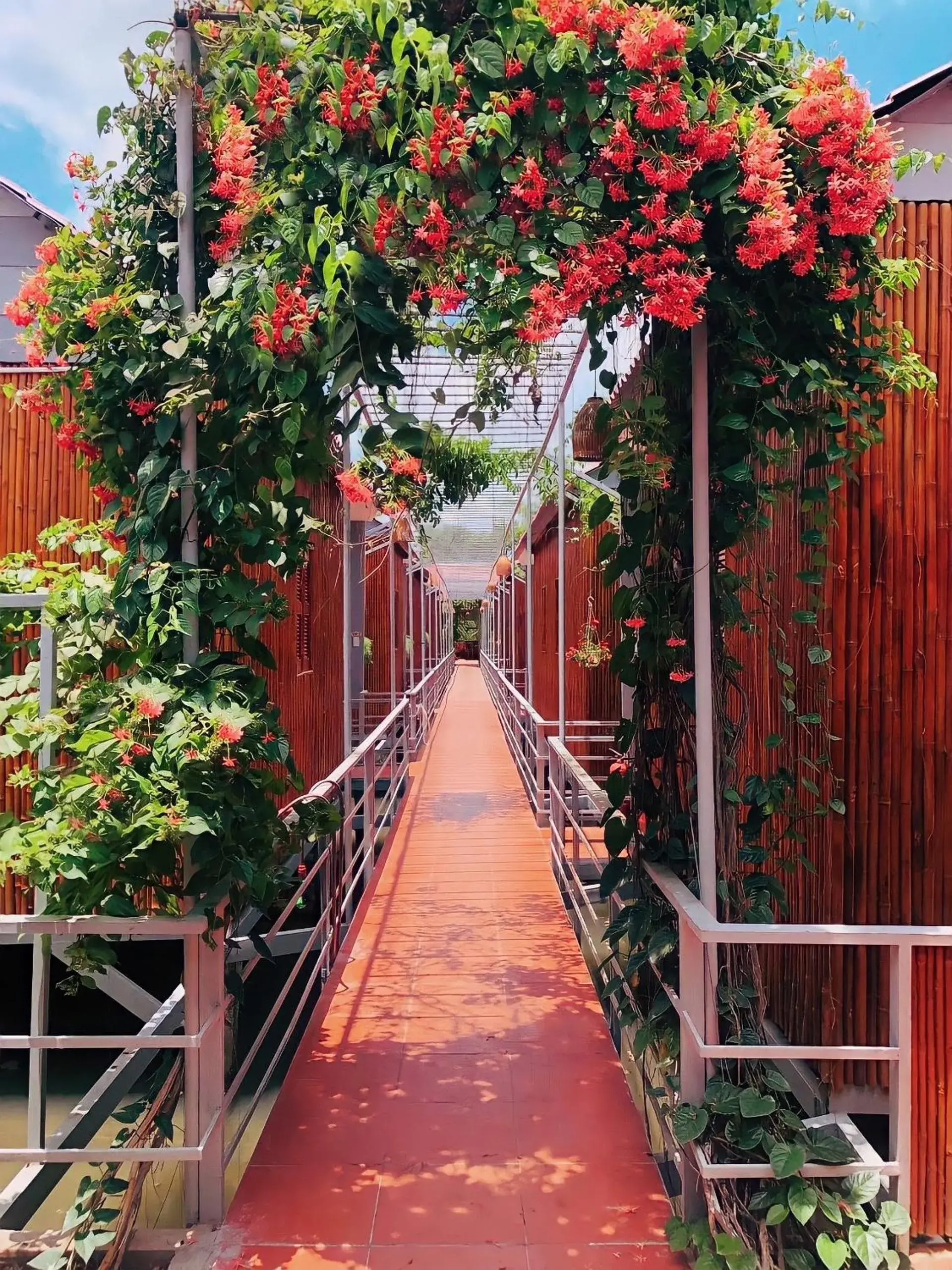 Cato Homestay Cato Homestay