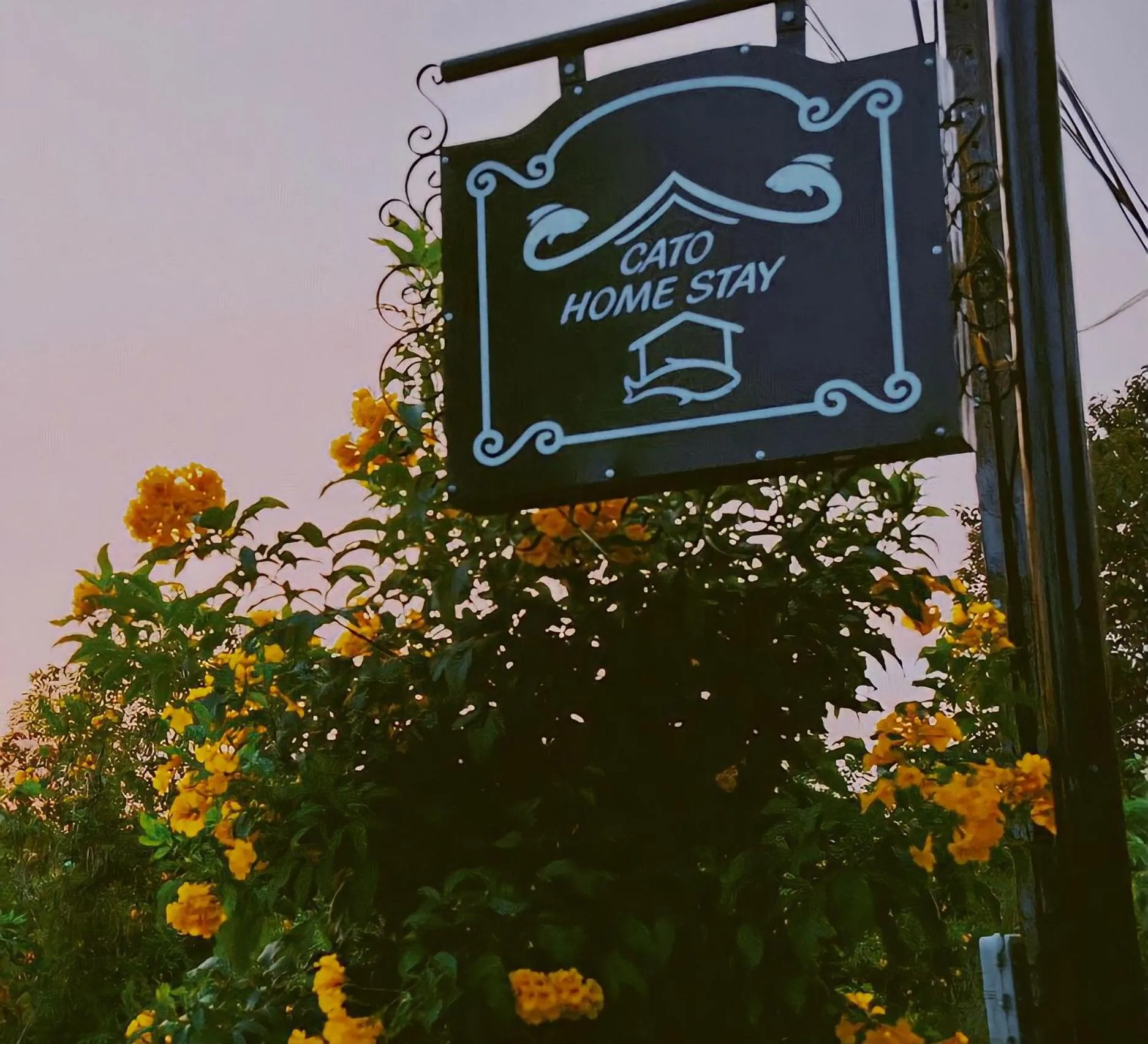 Property logo or sign in Cato Homestay