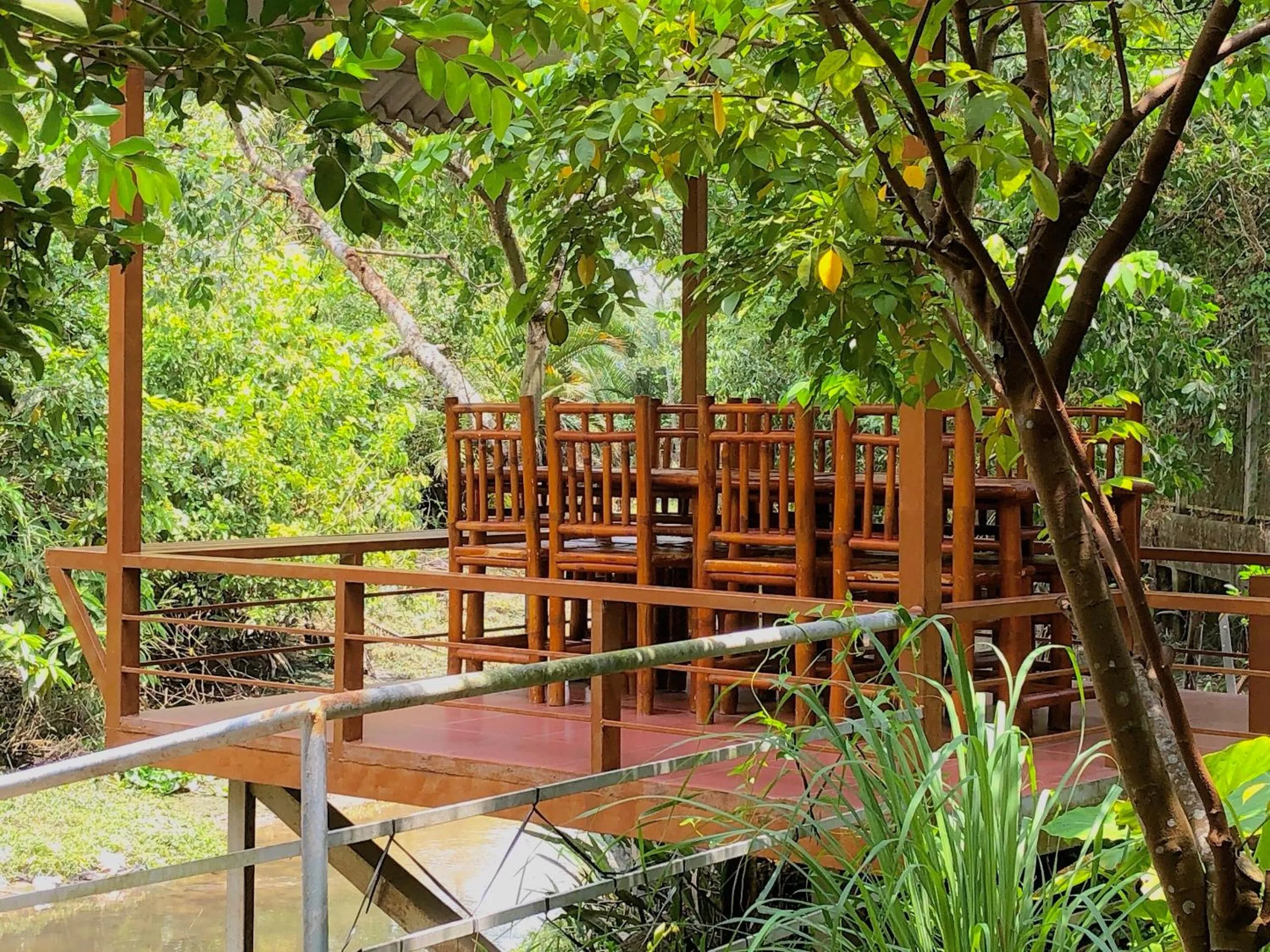 Garden in Cato Homestay