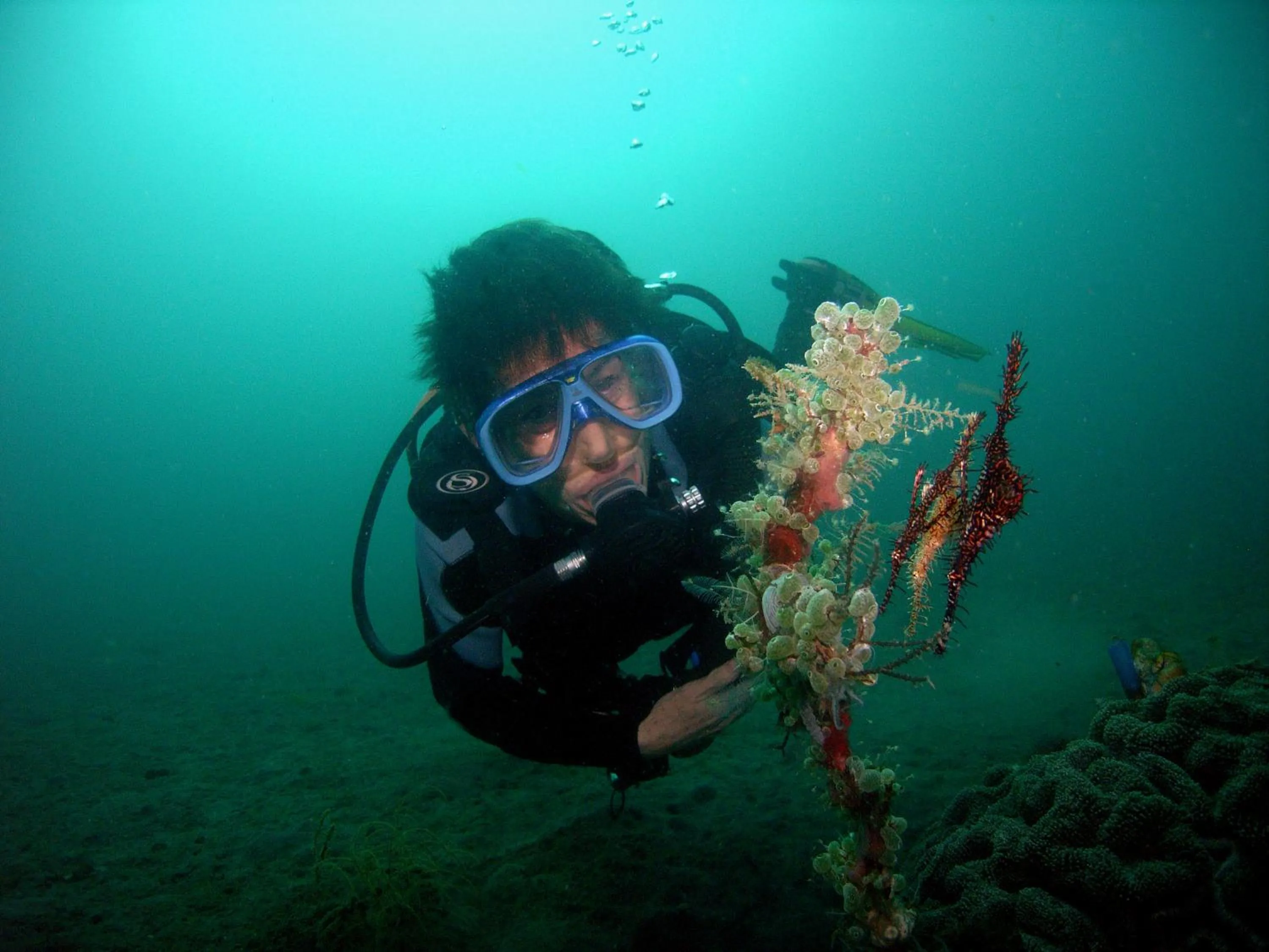 Diving in Camiguin Volcan Beach Eco Retreat & Dive Resort