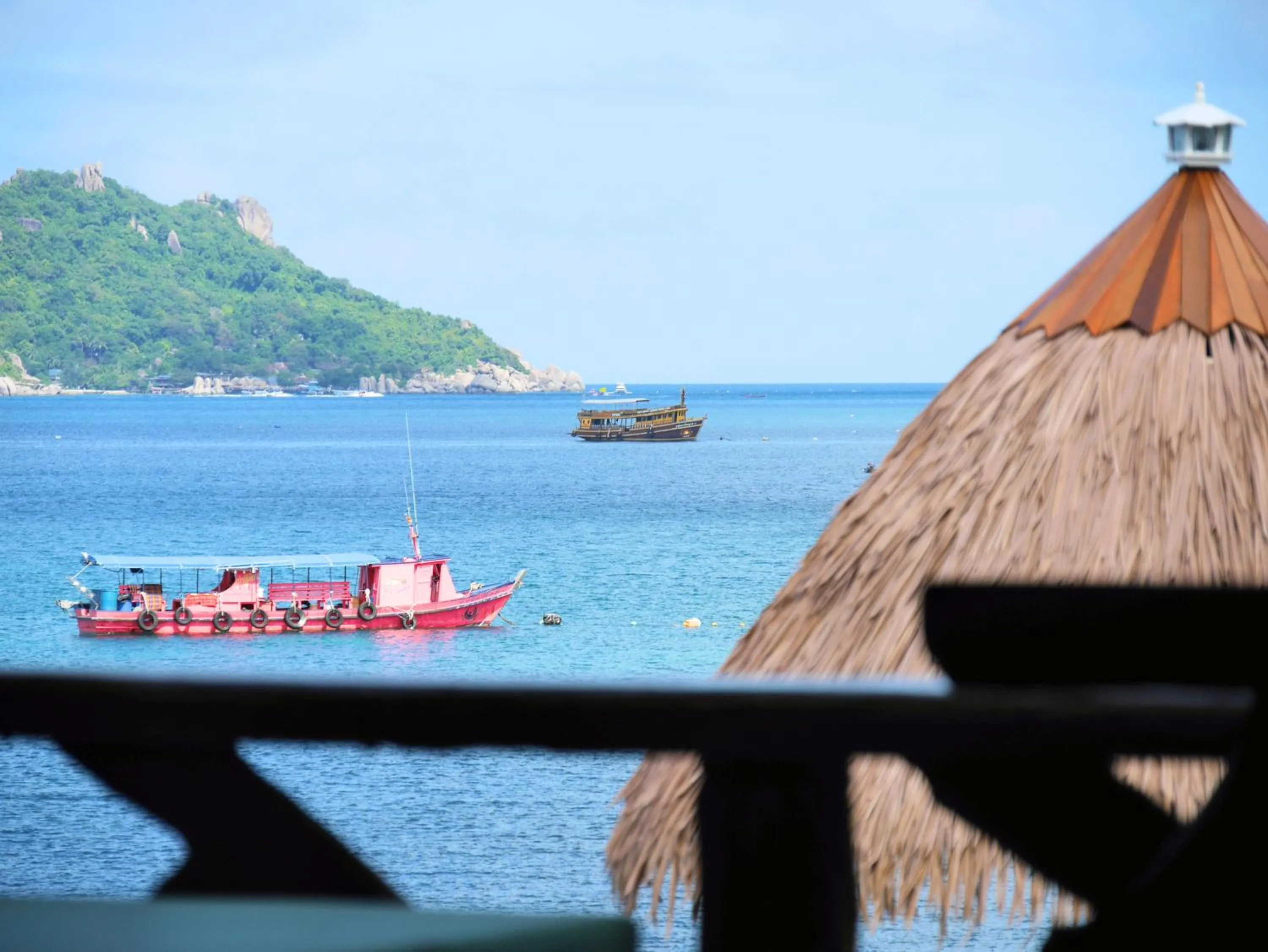 Natural landscape in DD Hut Koh Tao
