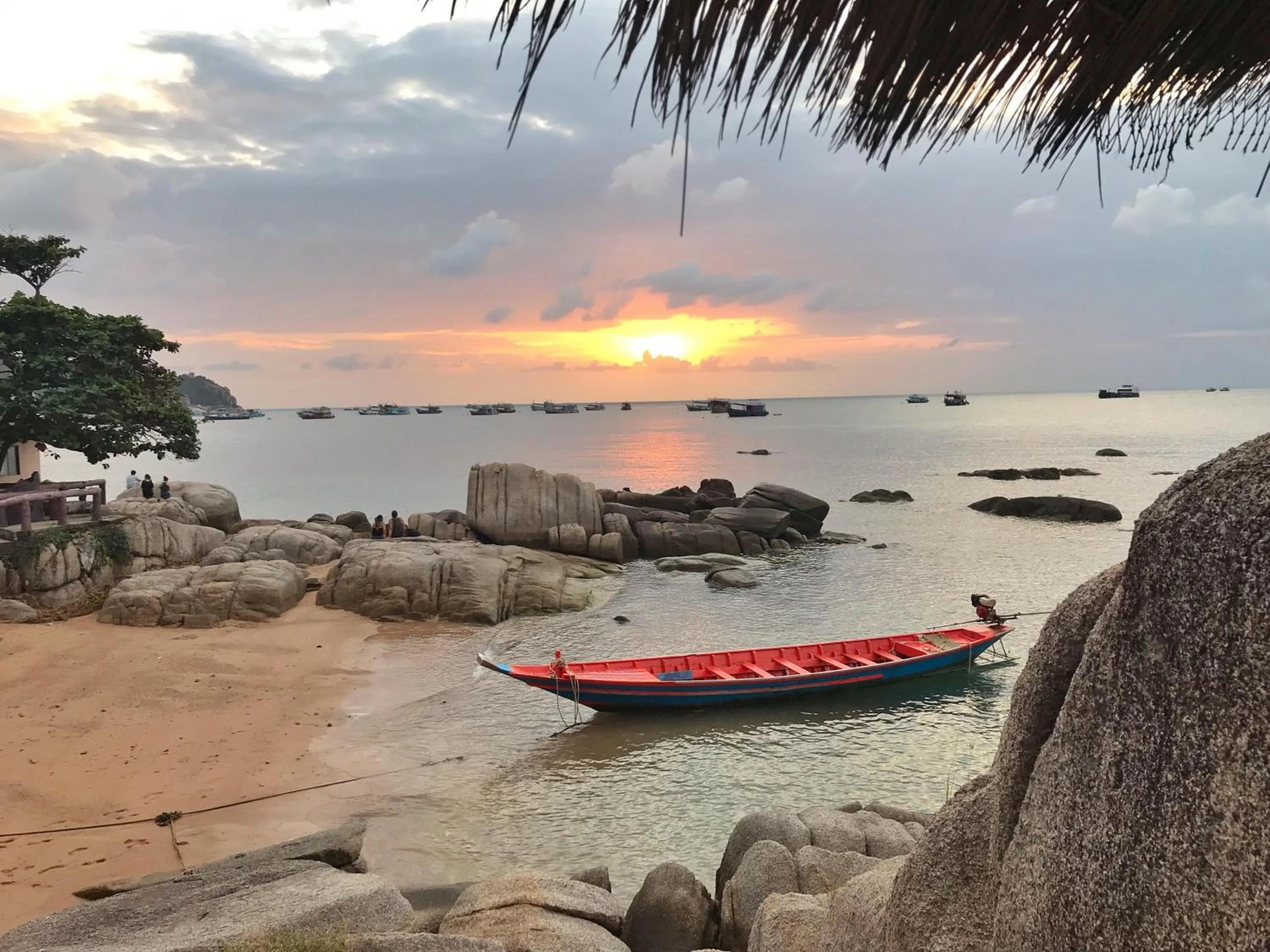 Natural landscape in DD Hut Koh Tao