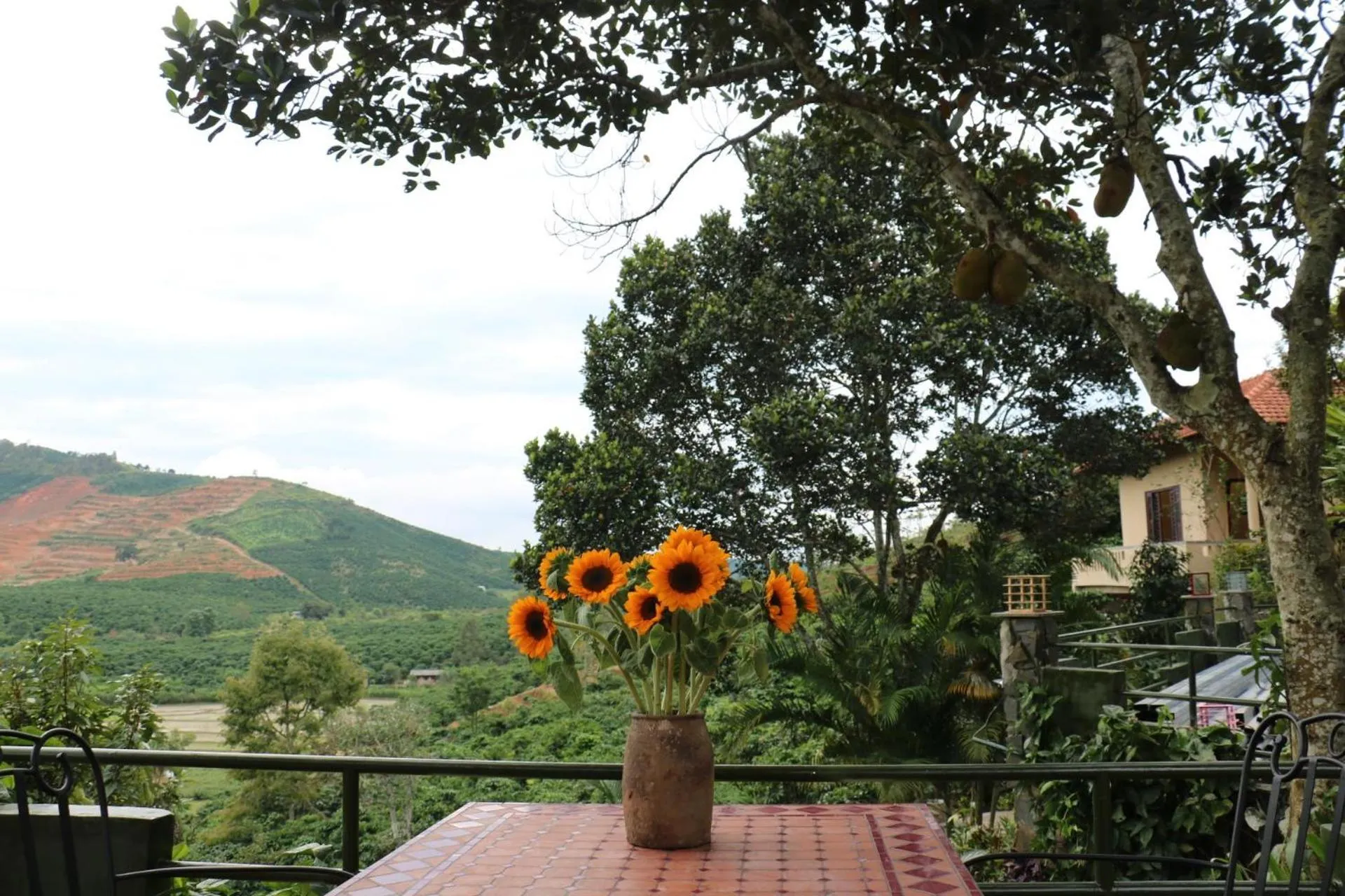 Mountain view in Ivory Falls Villa