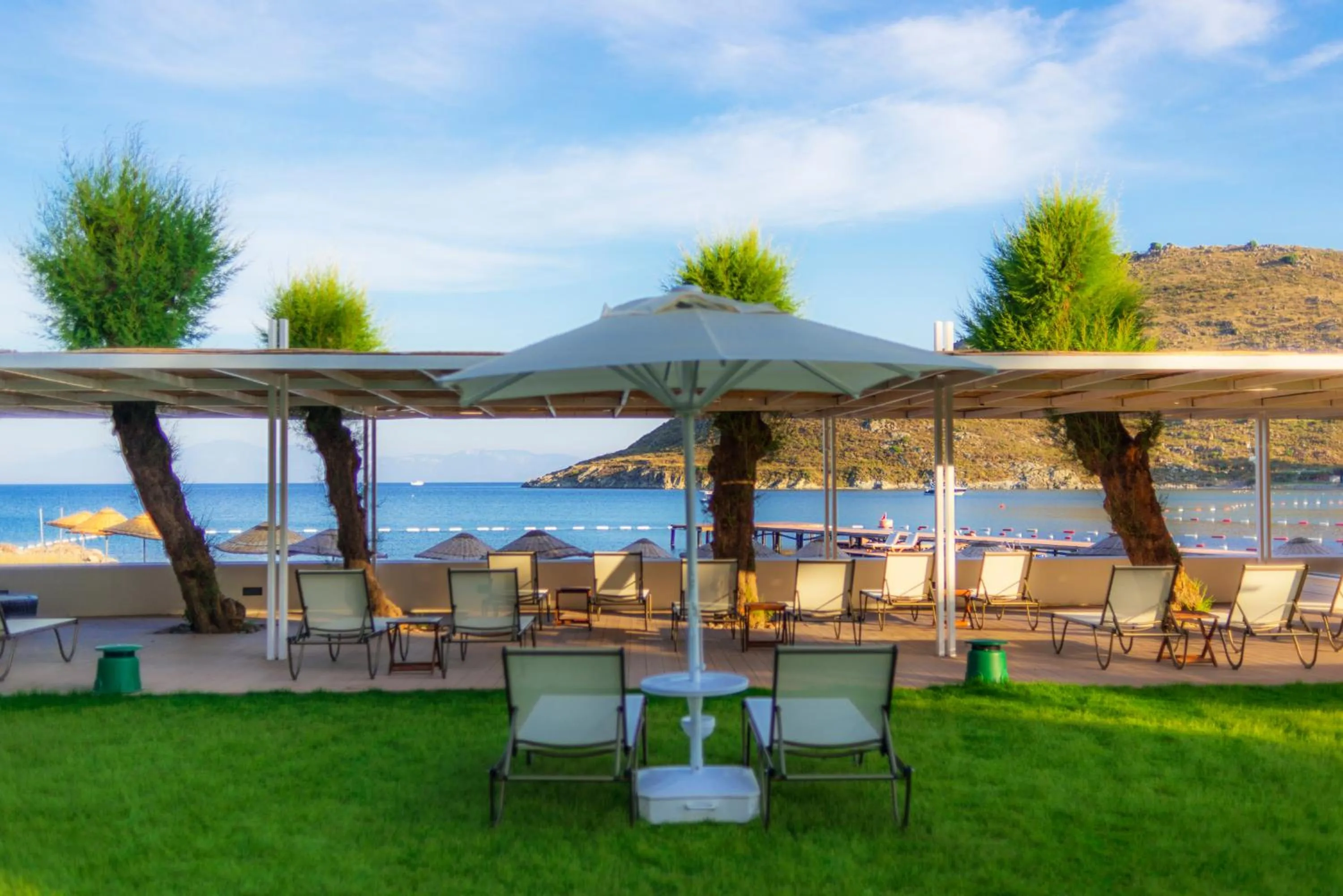 Garden in LIV Hotel by Bellazure