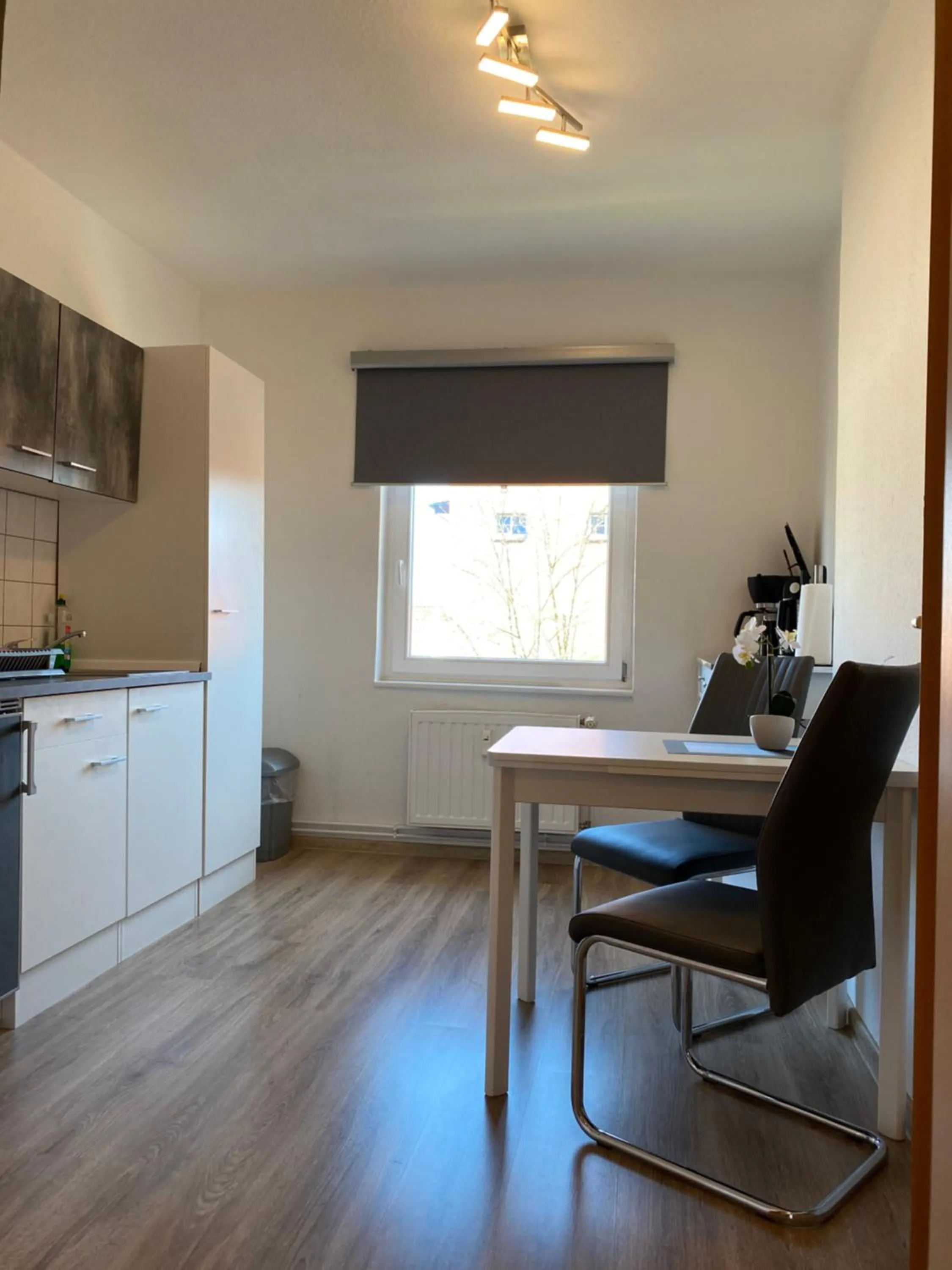 Viadrina Rooms & Apartments Frankfurt-Oder am Park im Zentrum