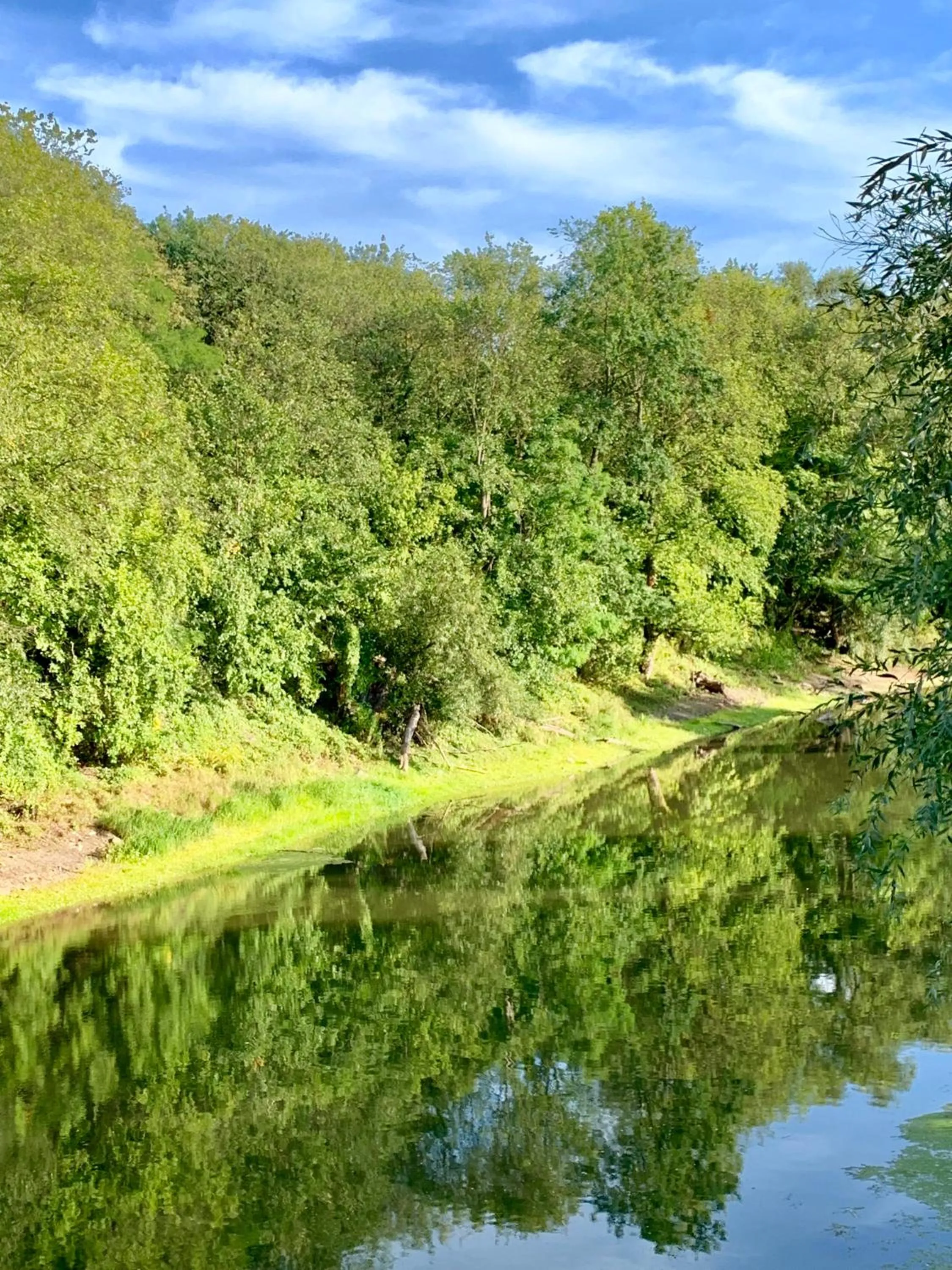 Natural landscape in Viadrina Rooms & Apartments Frankfurt-Oder am Park im Zentrum