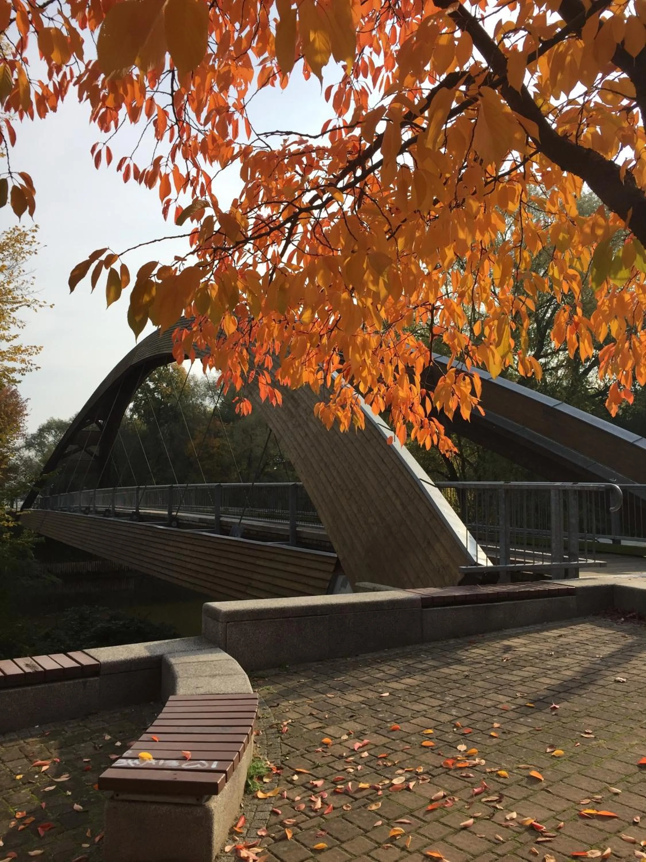 Viadrina Rooms & Apartments Frankfurt-Oder am Park im Zentrum