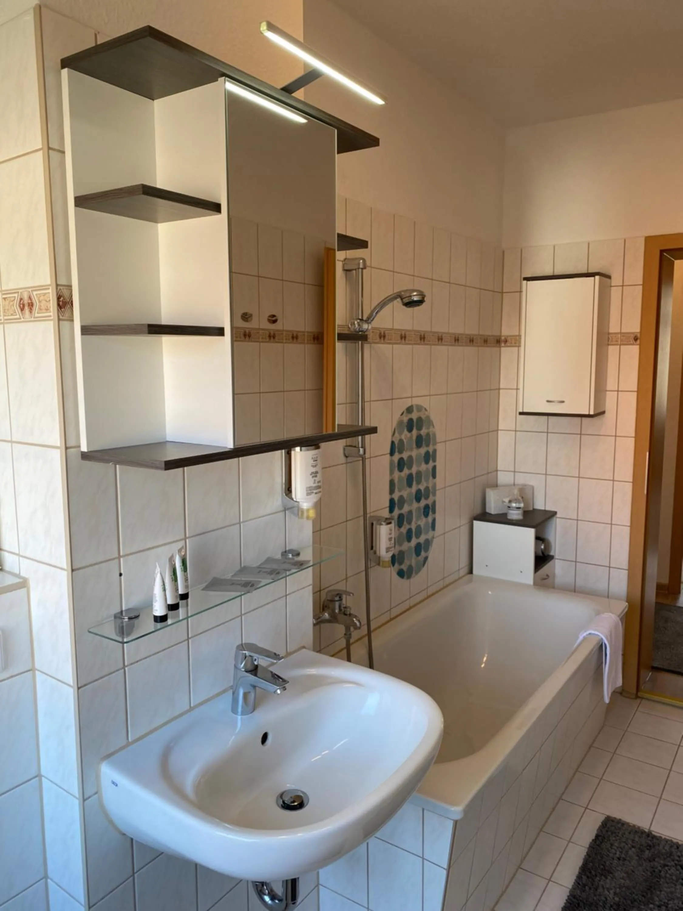 Viadrina Rooms & Apartments Frankfurt-Oder am Park im Zentrum