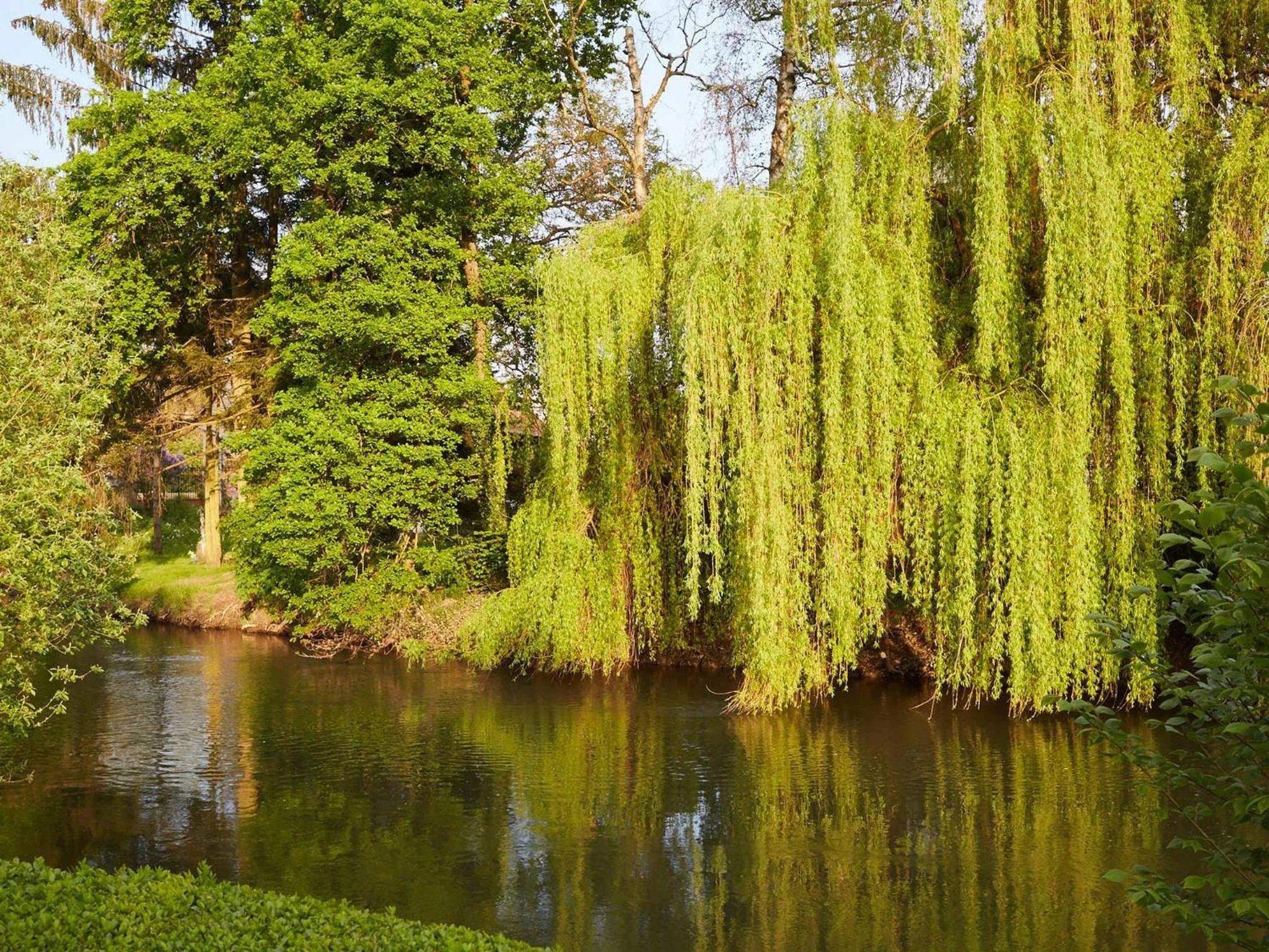 Garden in Les Prés D'ondine