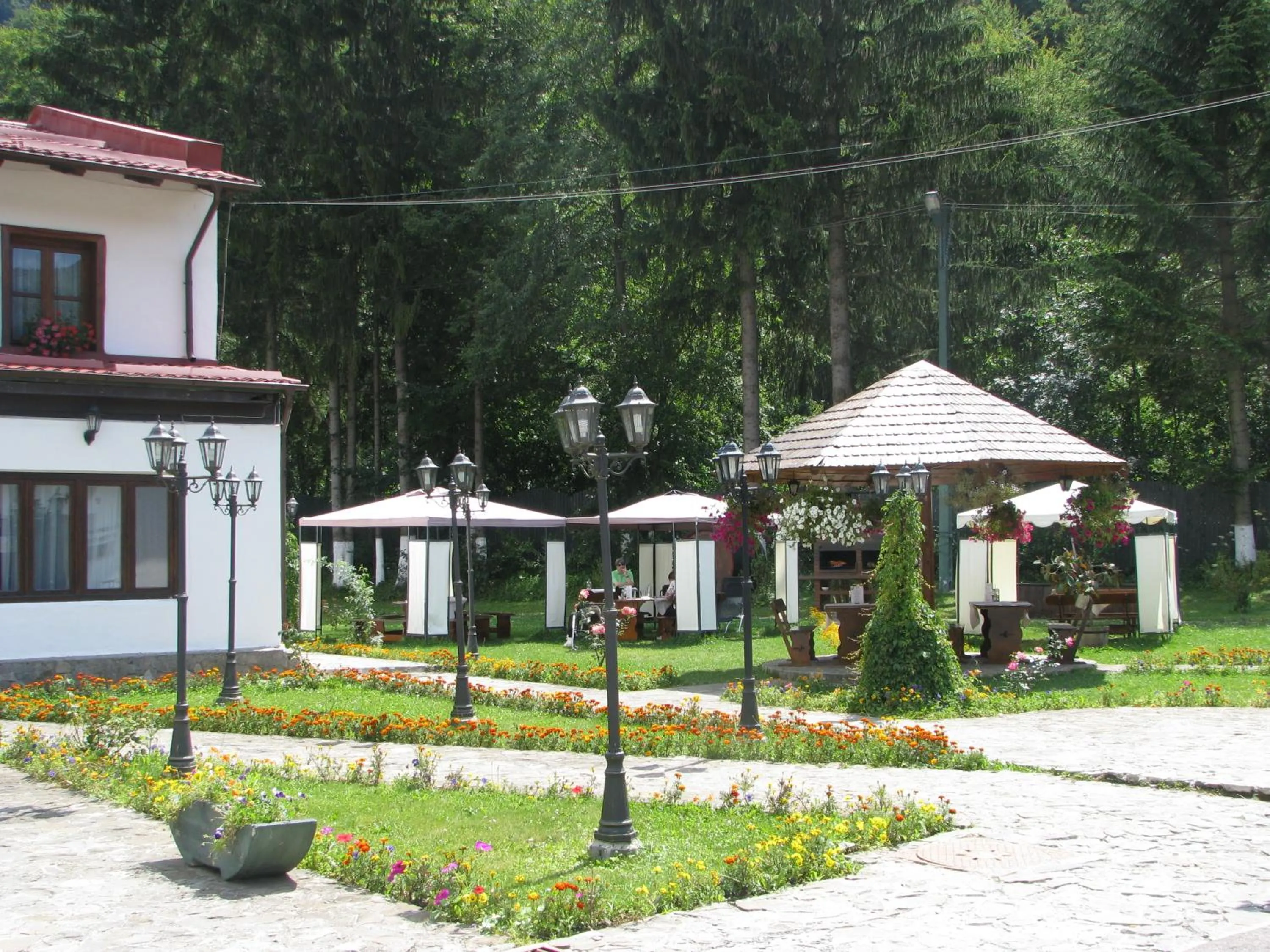 Property building in Pensiunea Rhein