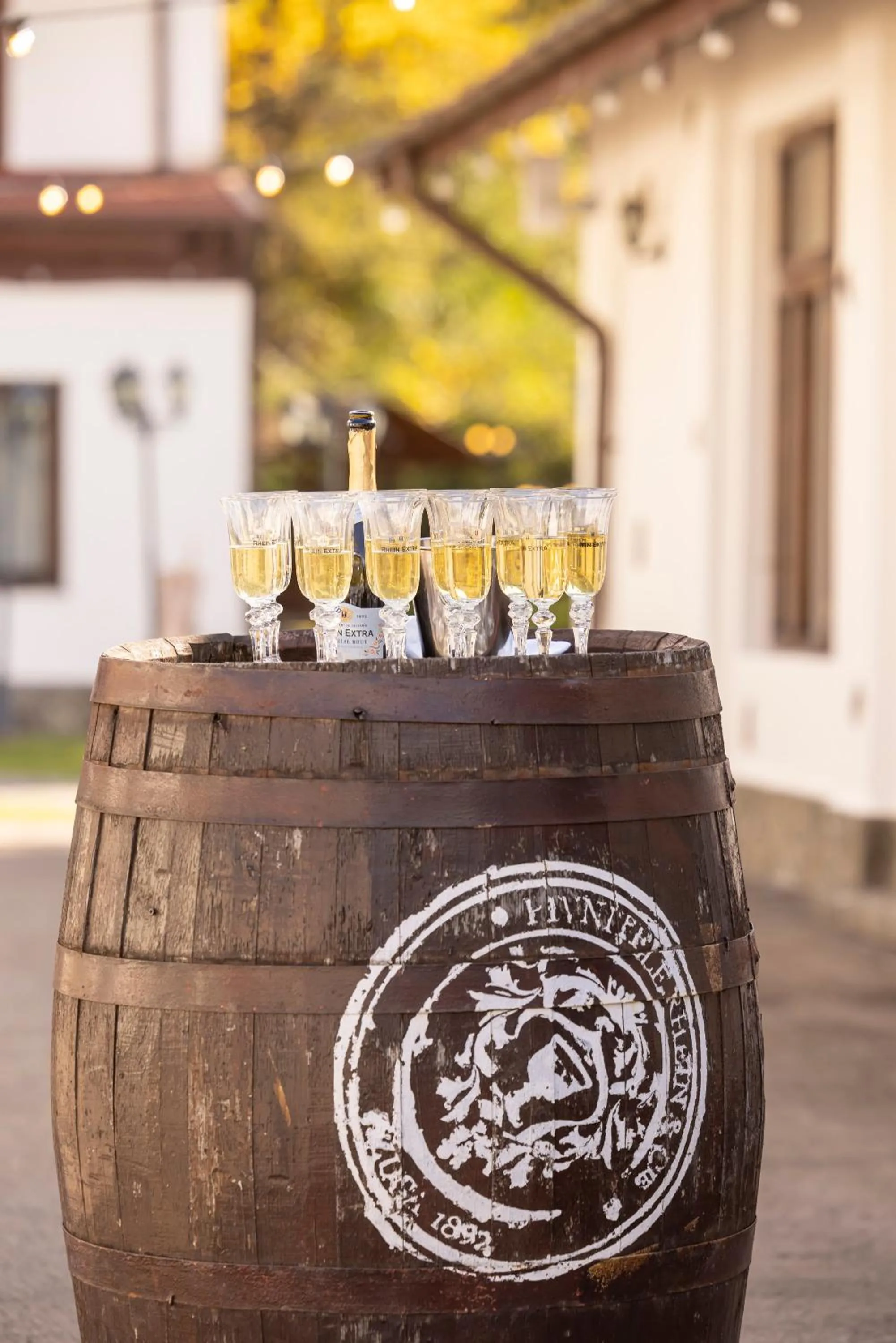 Restaurant/places to eat in Pensiunea Rhein