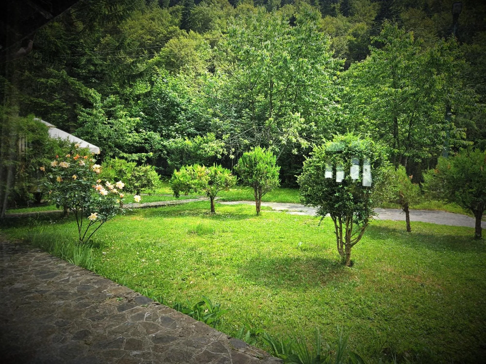 Property building in Pensiunea Rhein