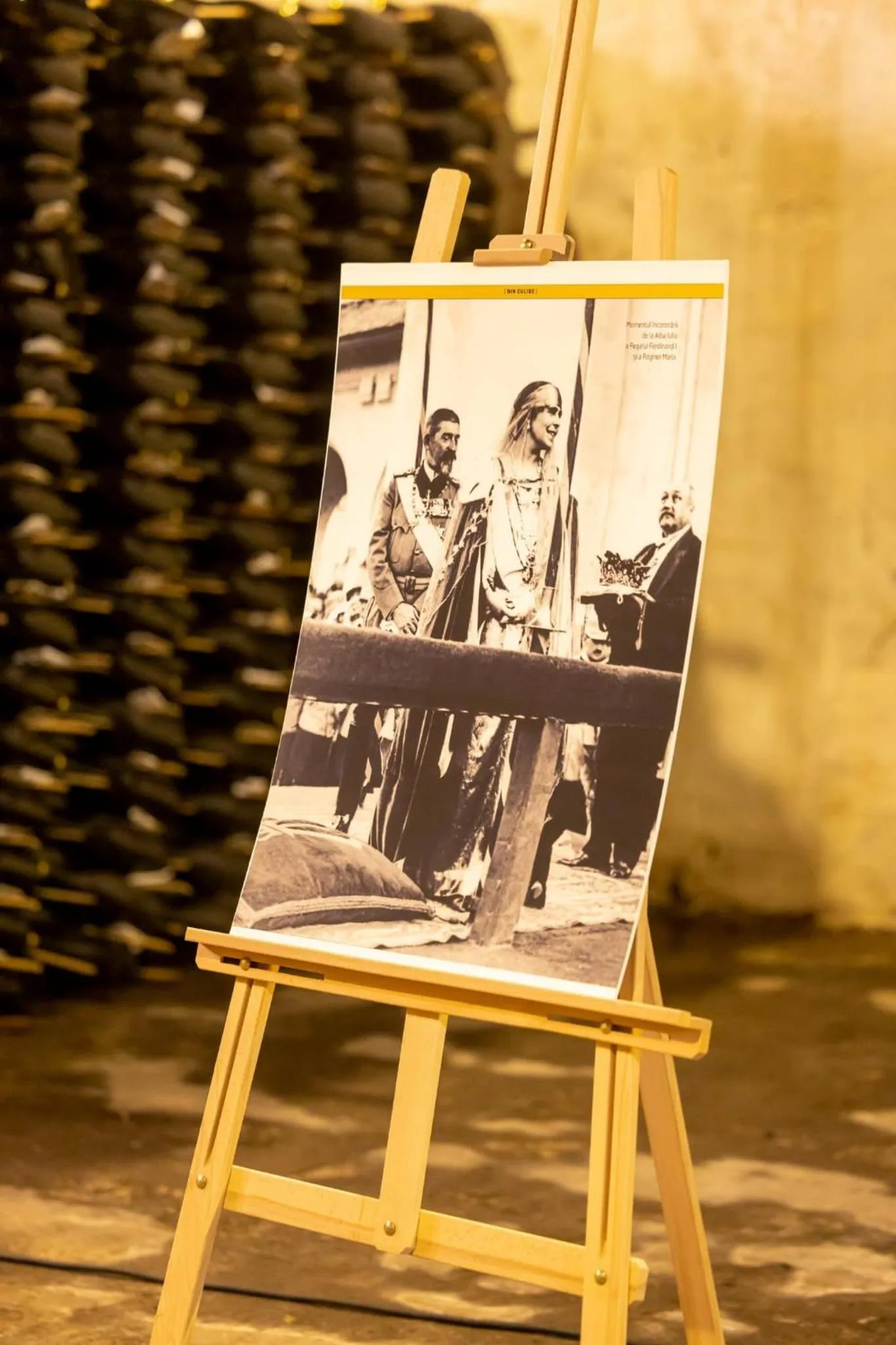 Property building in Pensiunea Rhein