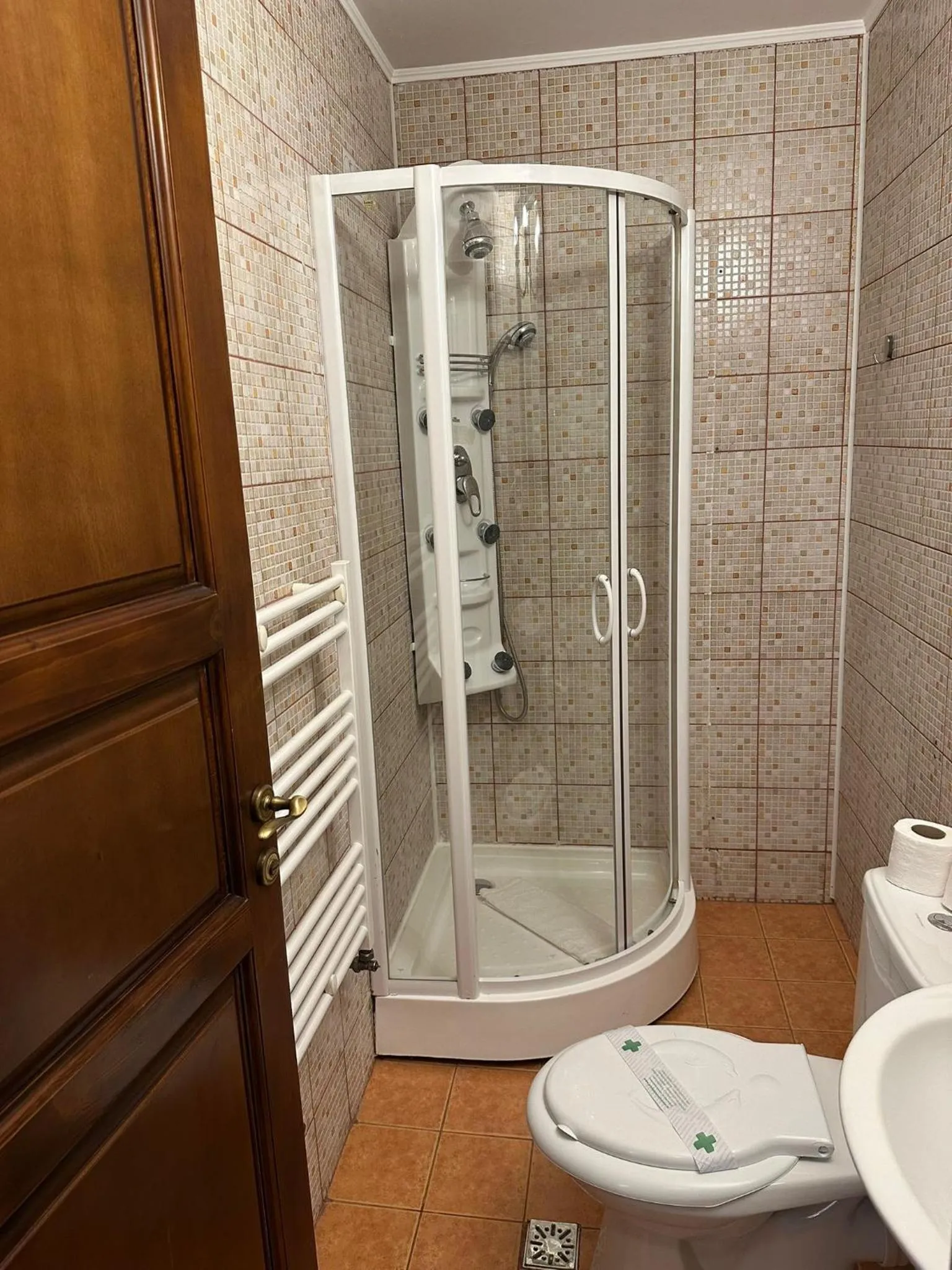 Shower in Pensiunea Rhein