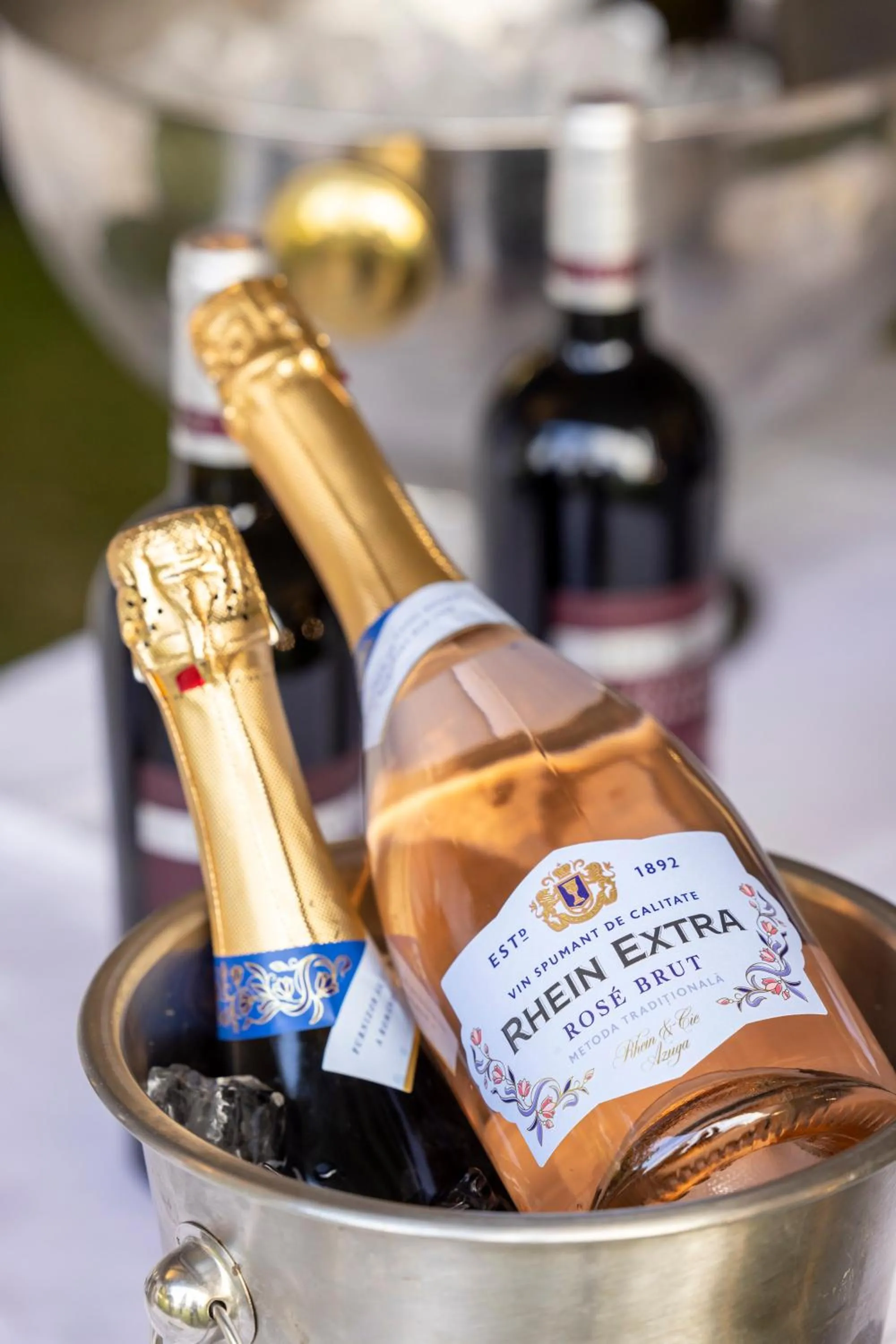 Restaurant/places to eat in Pensiunea Rhein