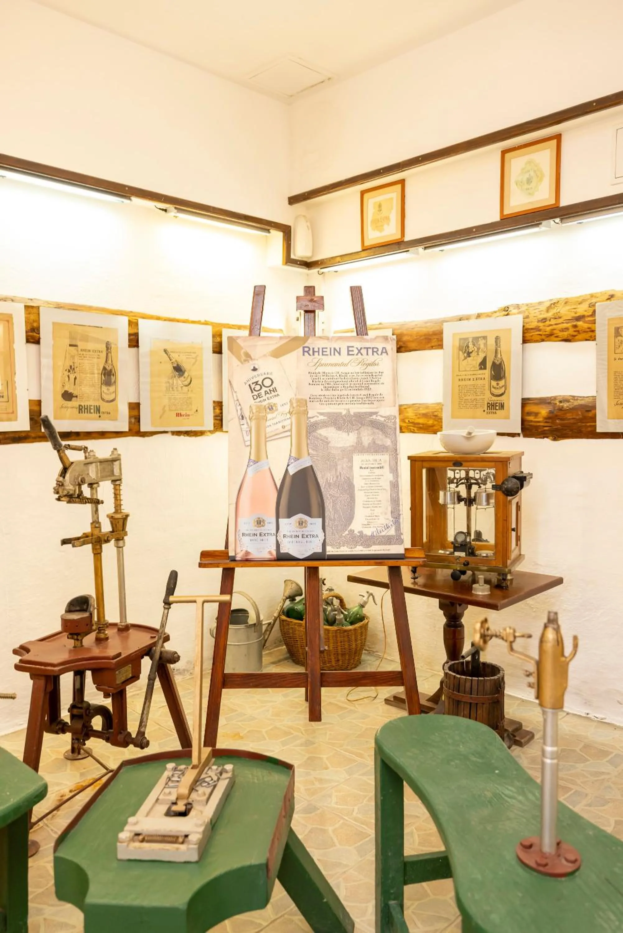 Property building in Pensiunea Rhein