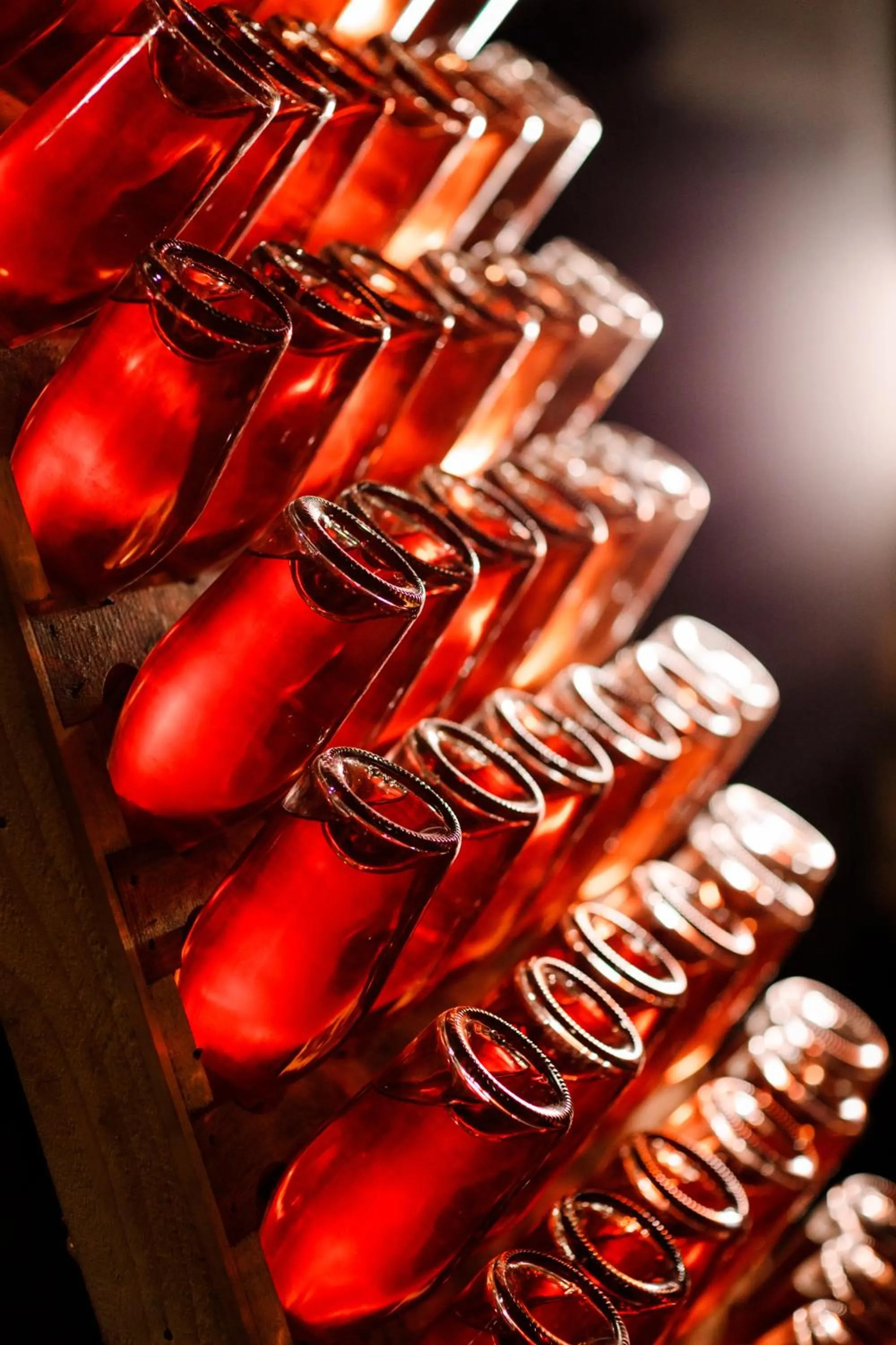 Property building in Pensiunea Rhein